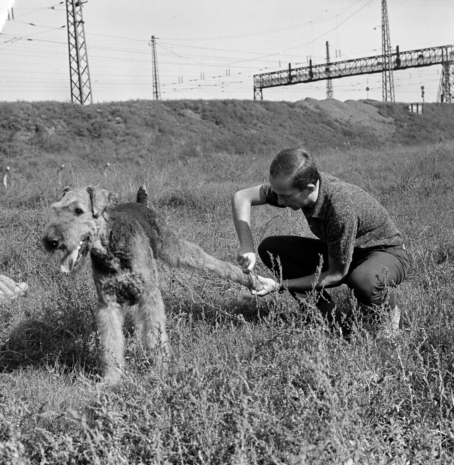 Hungary, Budapest IX., Gyáli út - Ecseri út - Üllői út - vasút közötti terület, kutyaoktatás., 1962, Inkey Tibor, dog, Budapest, Fortepan #184872