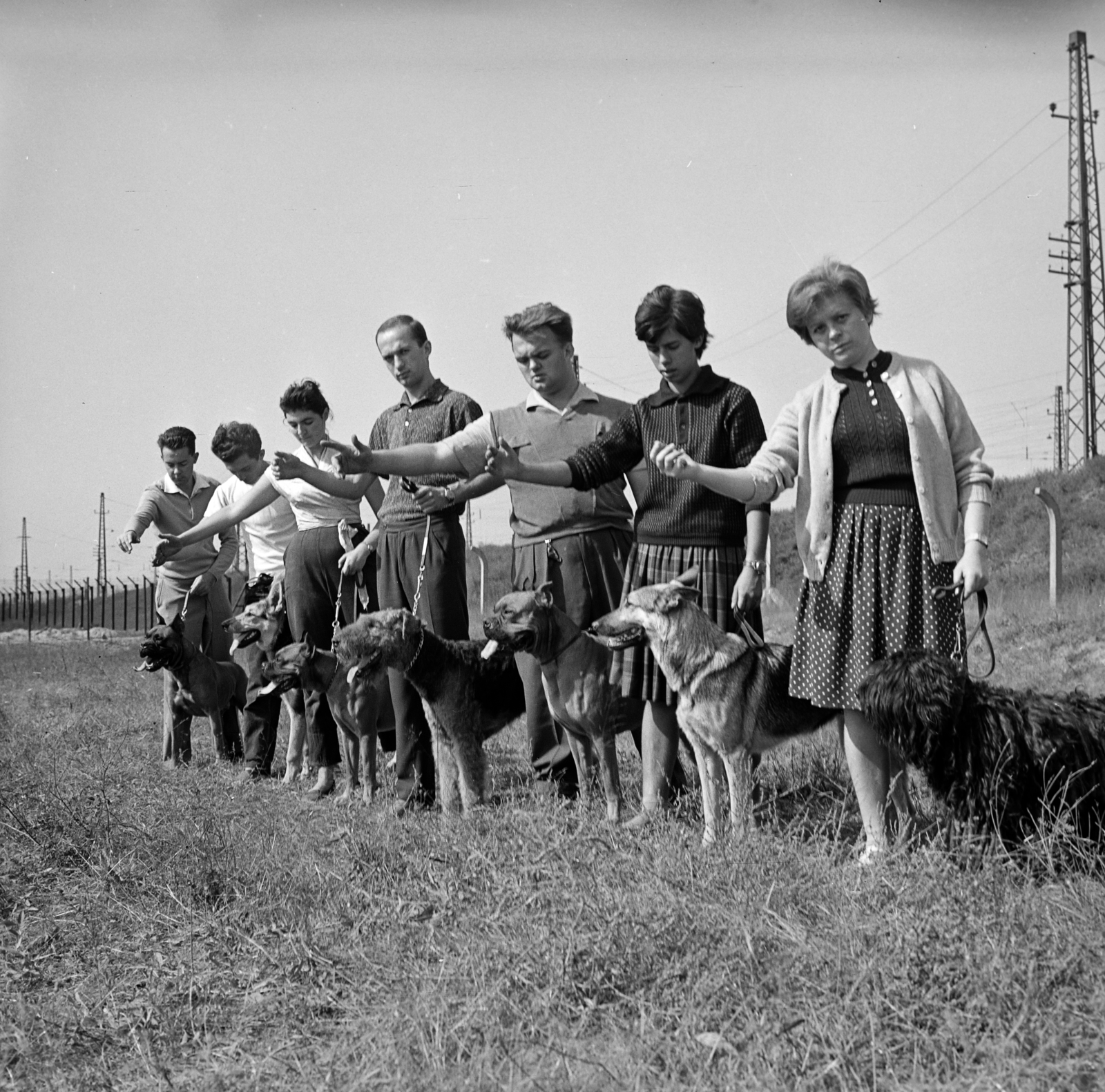 Hungary, Budapest IX., Gyáli út - Ecseri út - Üllői út - vasút közötti terület, kutyaoktatás., 1962, Inkey Tibor, dog, Budapest, Fortepan #184873
