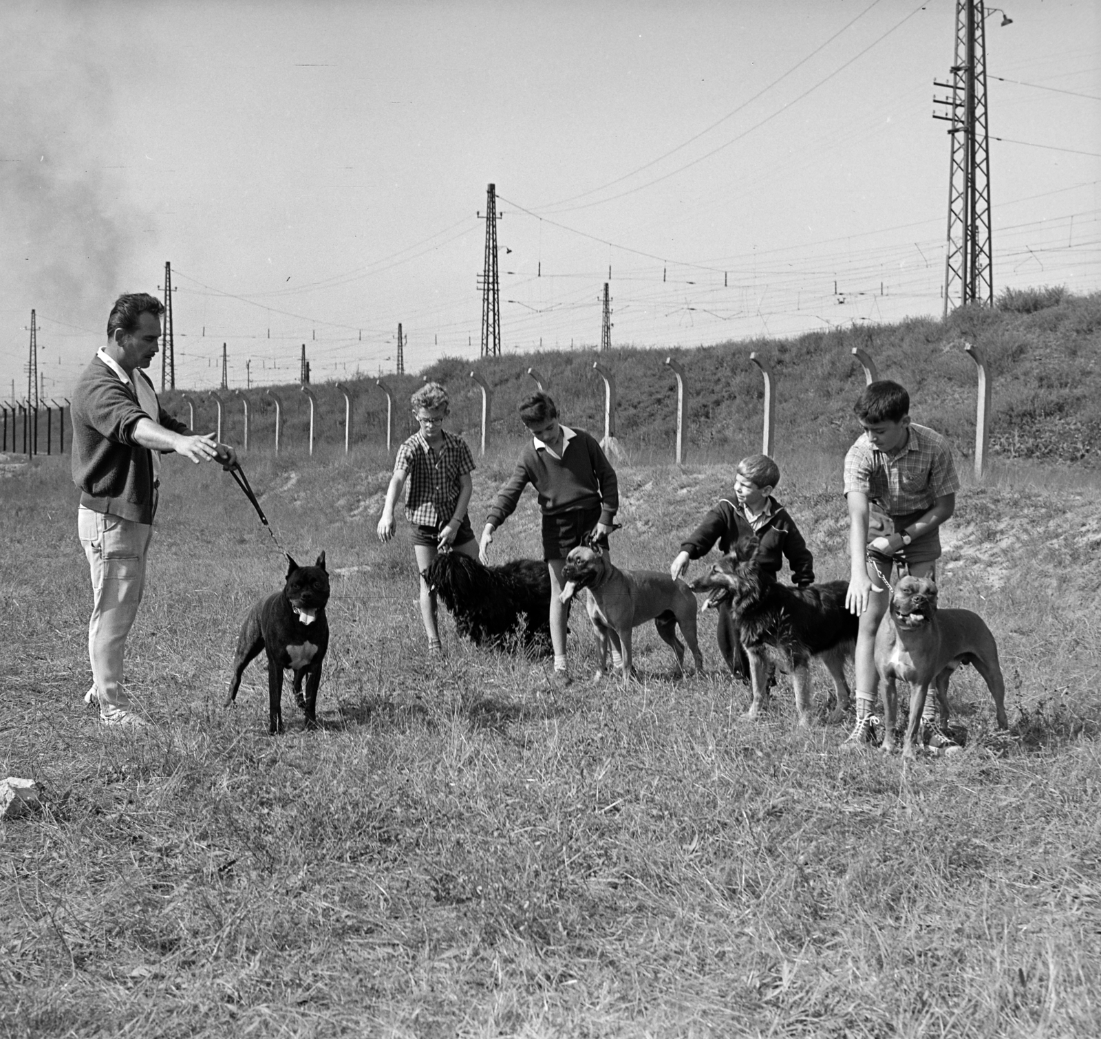 Magyarország, Budapest IX., Gyáli út - Ecseri út - Üllői út - vasút közötti terület, kutyaoktatás., 1962, Inkey Tibor, kutya, Budapest, Fortepan #184876