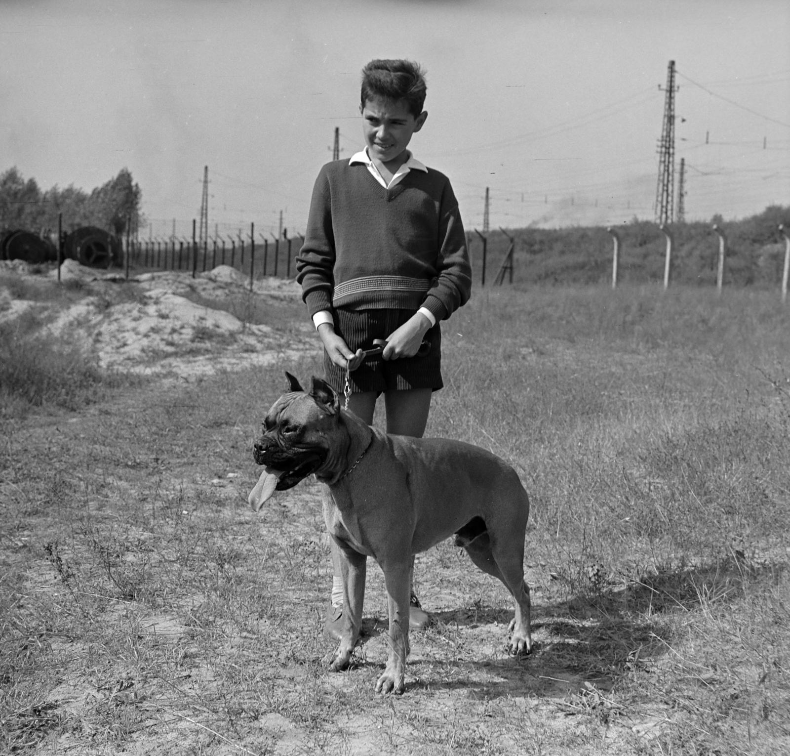 Hungary, Budapest IX., Gyáli út - Ecseri út - Üllői út - vasút közötti terület, kutyaoktatás., 1962, Inkey Tibor, dog, Budapest, Fortepan #184877