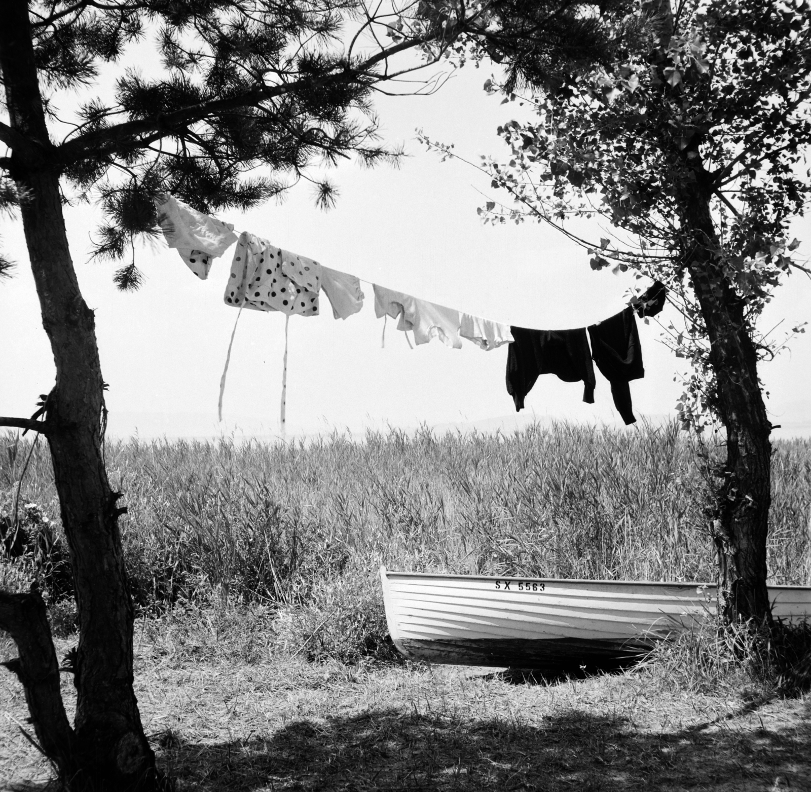 Magyarország, Balatonfenyves, Balaton-part., 1959, Inkey Tibor, teregetés, Best of, Fortepan #184905