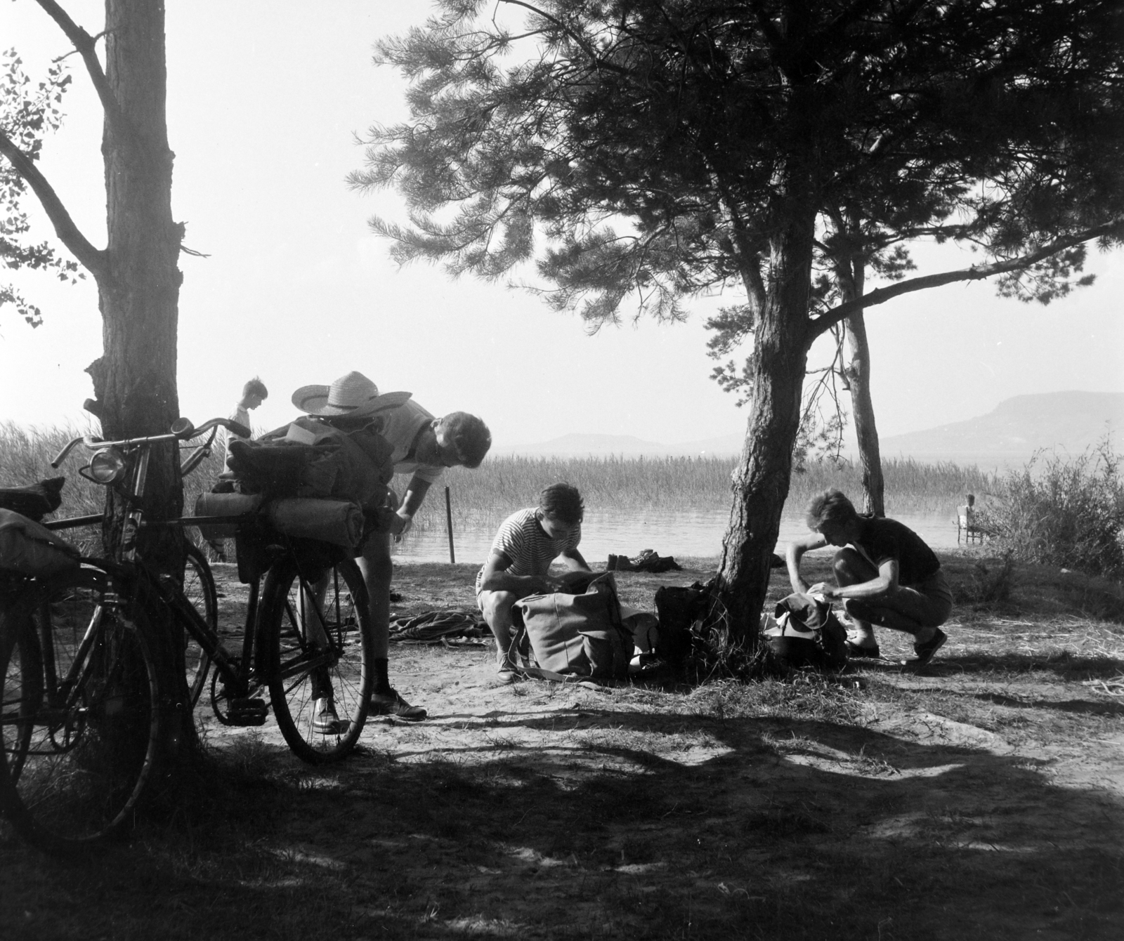 Magyarország, Balatonfenyves, Balaton-part., 1959, Inkey Tibor, fiúk, kerékpár, fenyőfa, turistafelszerelés, Fortepan #184906