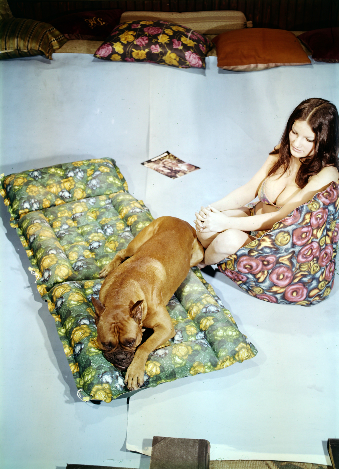 1969, Inkey Tibor, colorful, dog, air mattress, Fortepan #184909