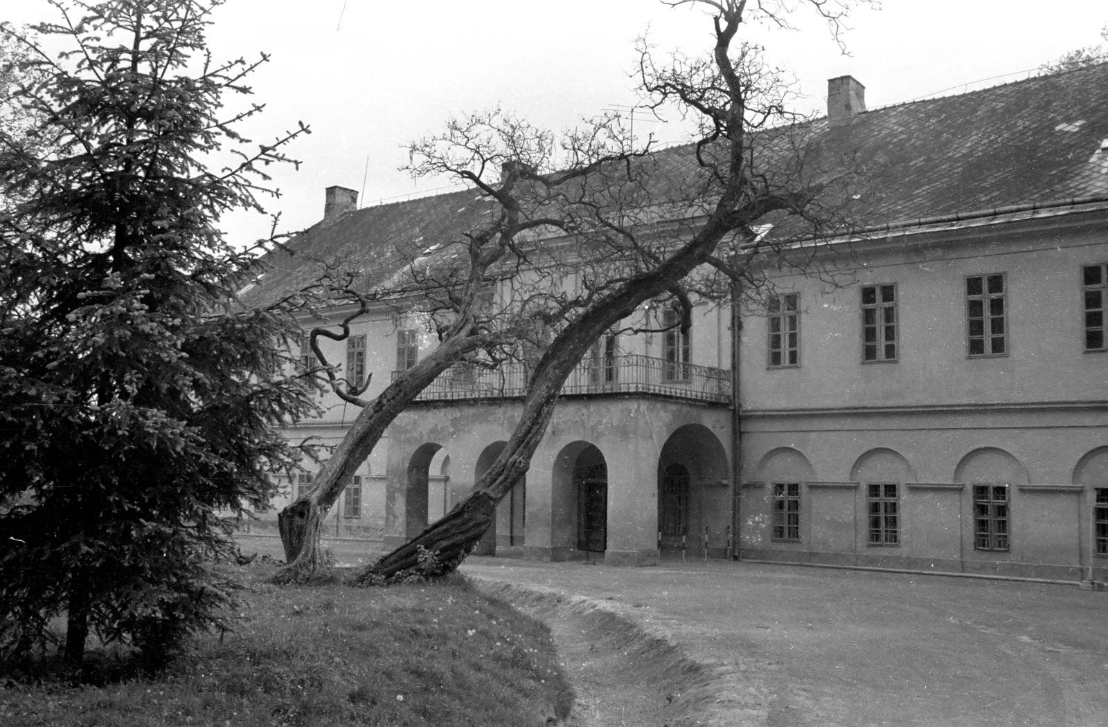 Magyarország, Alsóbogát, (ekkor Edde községhez tartozott, ma önálló), Festetics-kastély., 1978, Kende János, kastély, Fortepan #184971