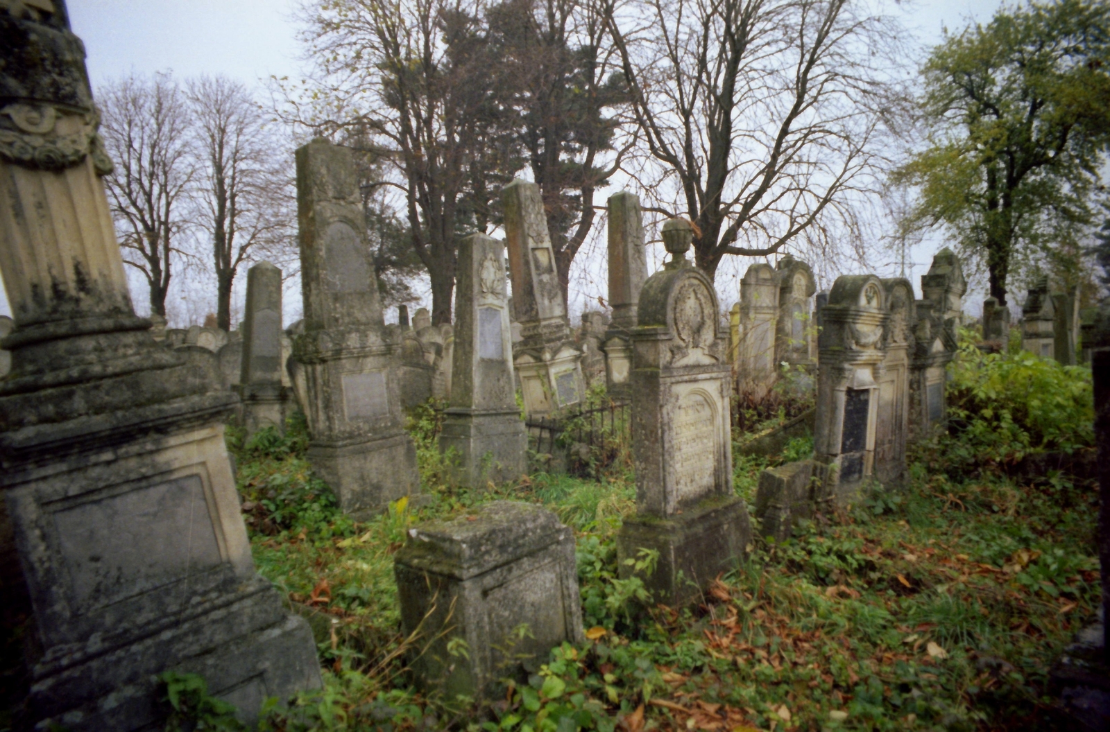 1982, Kende János, colorful, cemetery, Fortepan #185010