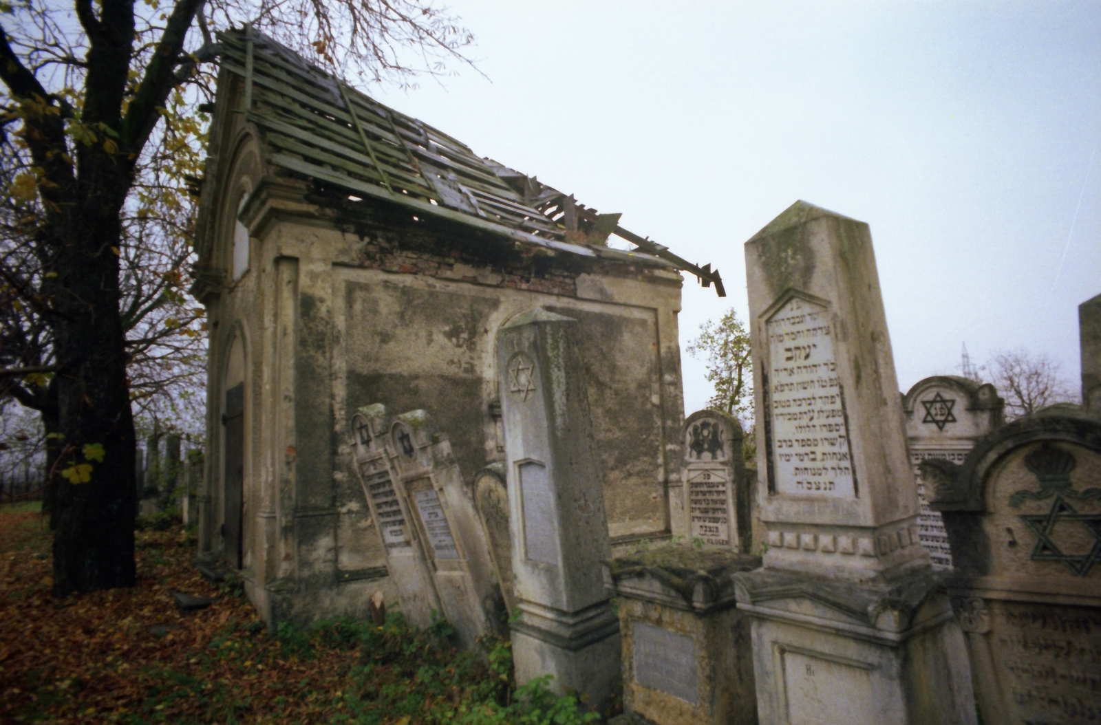 1982, Kende János, colorful, cemetery, Fortepan #185011