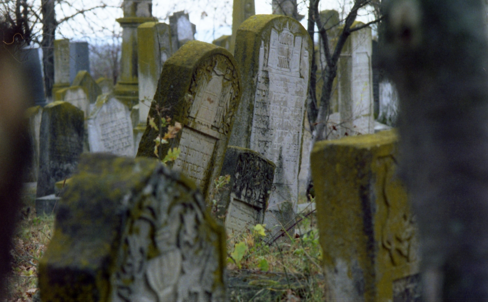 Románia, izraelita temető., 1982, Kende János, Fortepan #185013