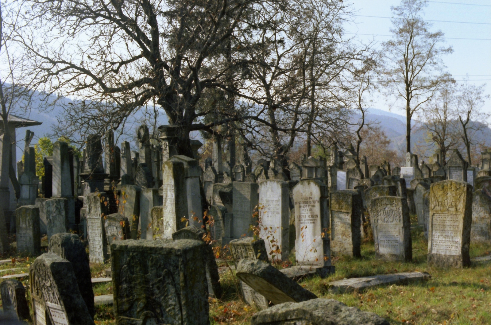 Romania, izraelita temető., 1982, Kende János, colorful, cemetery, Fortepan #185014