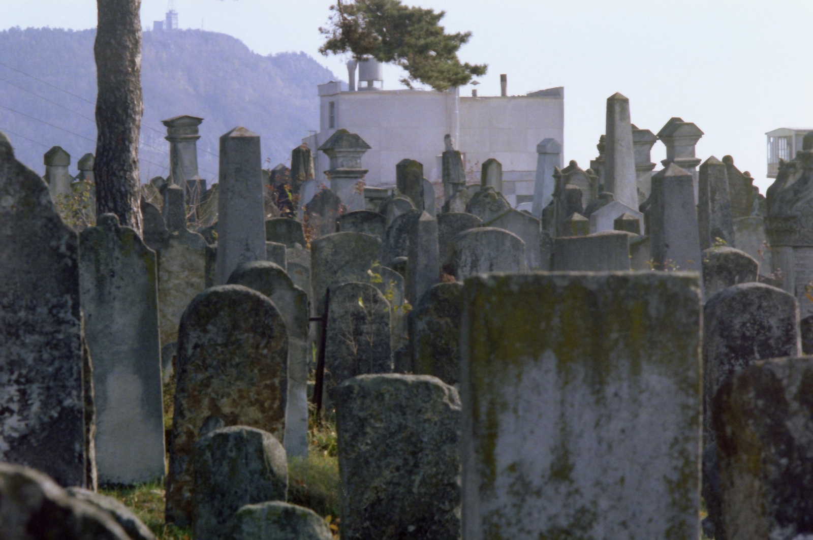 1982, Kende János, colorful, cemetery, Fortepan #185015