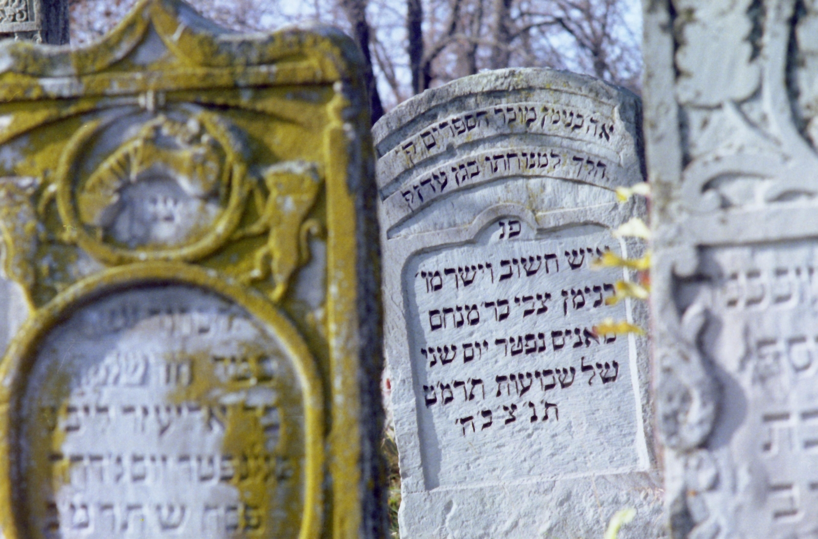 1982, Kende János, colorful, cemetery, Fortepan #185016