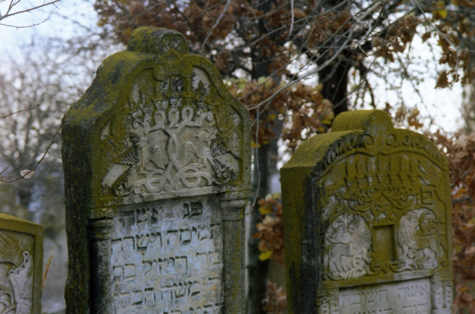 Romania, izraelita temető., 1982, Kende János, colorful, cemetery, Fortepan #185017