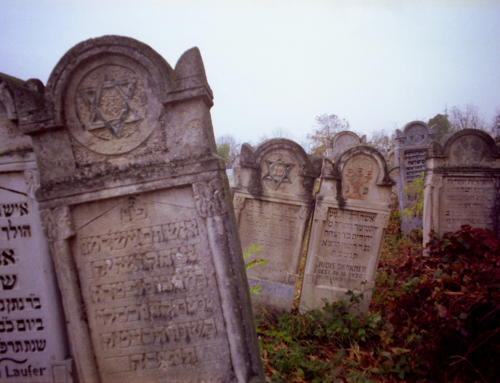 Románia, izraelita temető., 1982, Kende János, színes, temető, Fortepan #185018