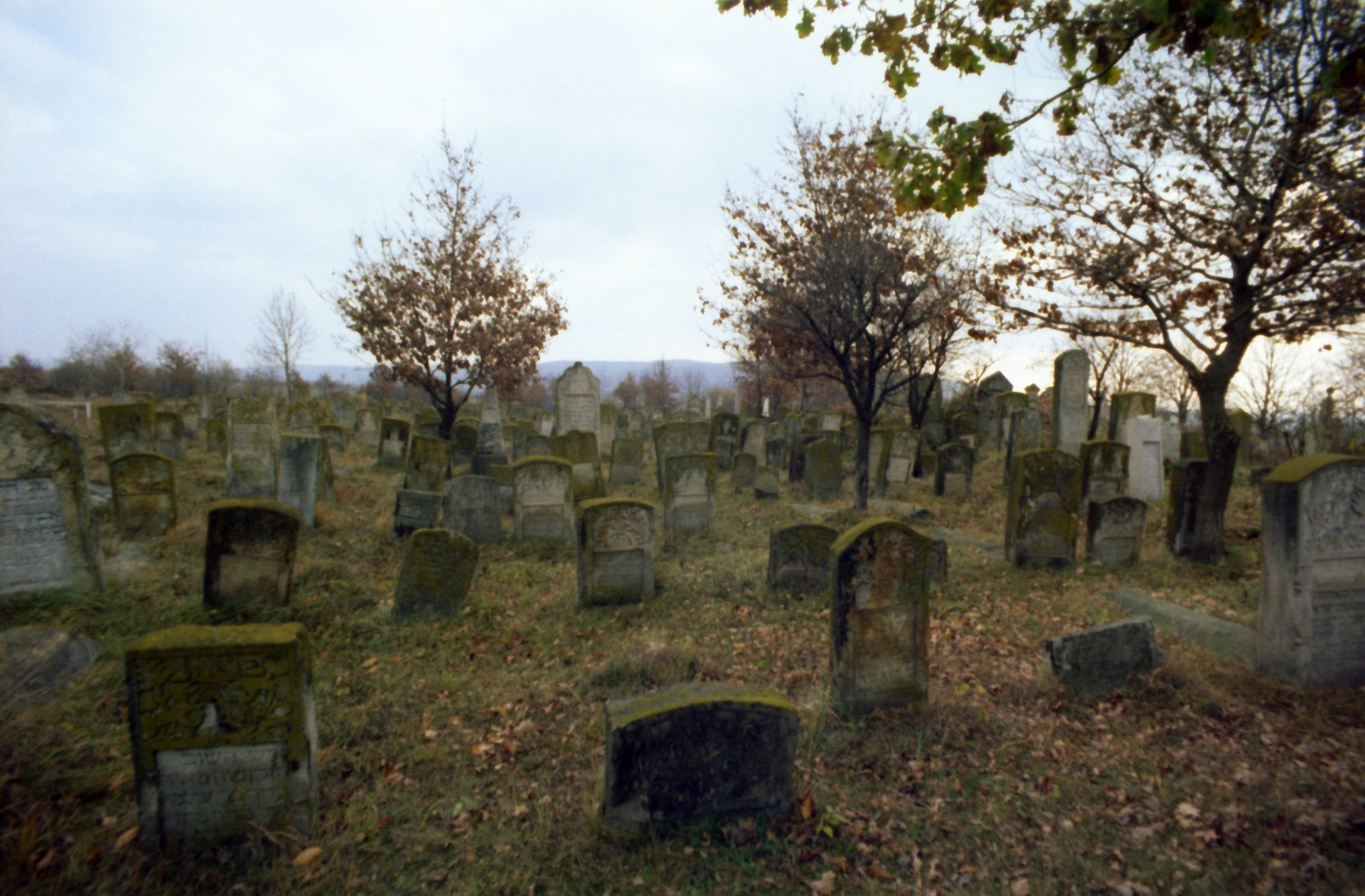 Romania, izraelita temető., 1982, Kende János, colorful, cemetery, Fortepan #185021