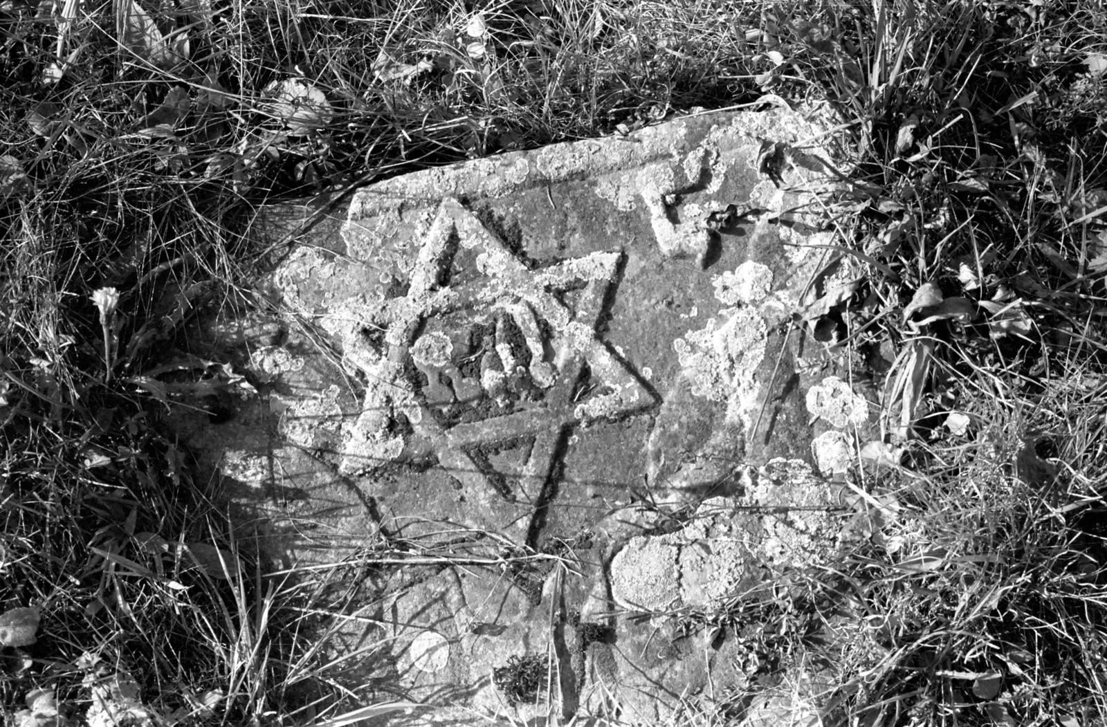 1982, Kende János, cemetery, Fortepan #185024