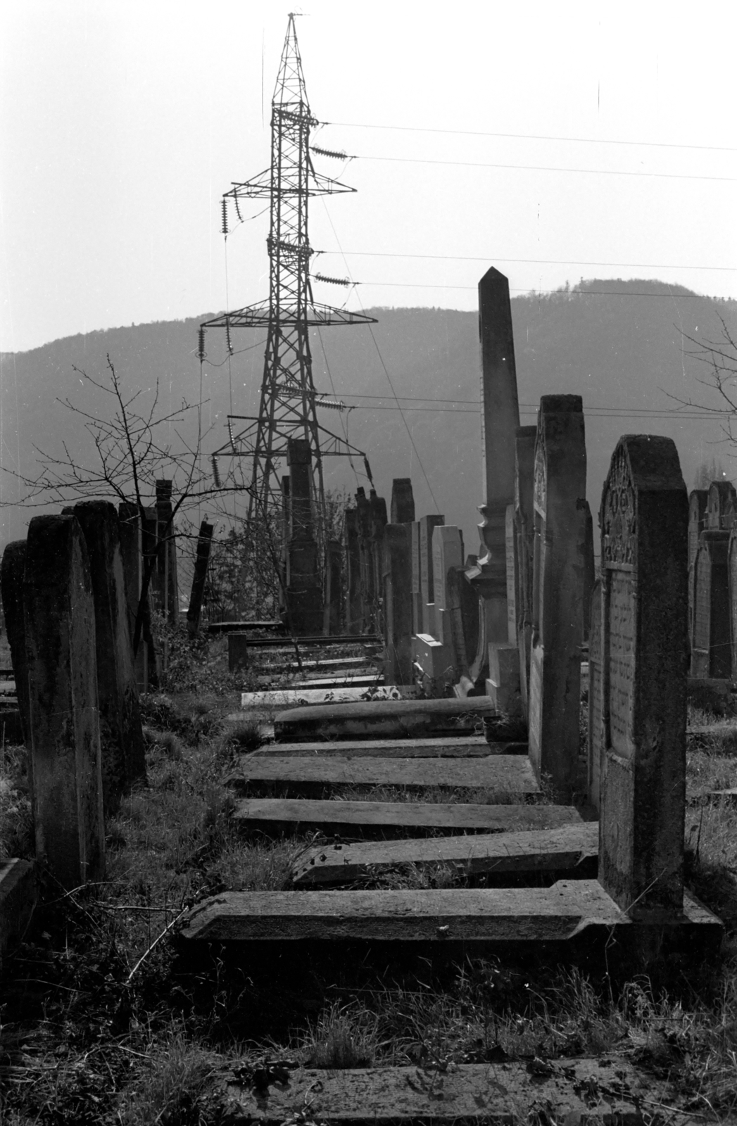 Romania, Piatra Neamț, izraelita temető., 1982, Kende János, Fortepan #185027