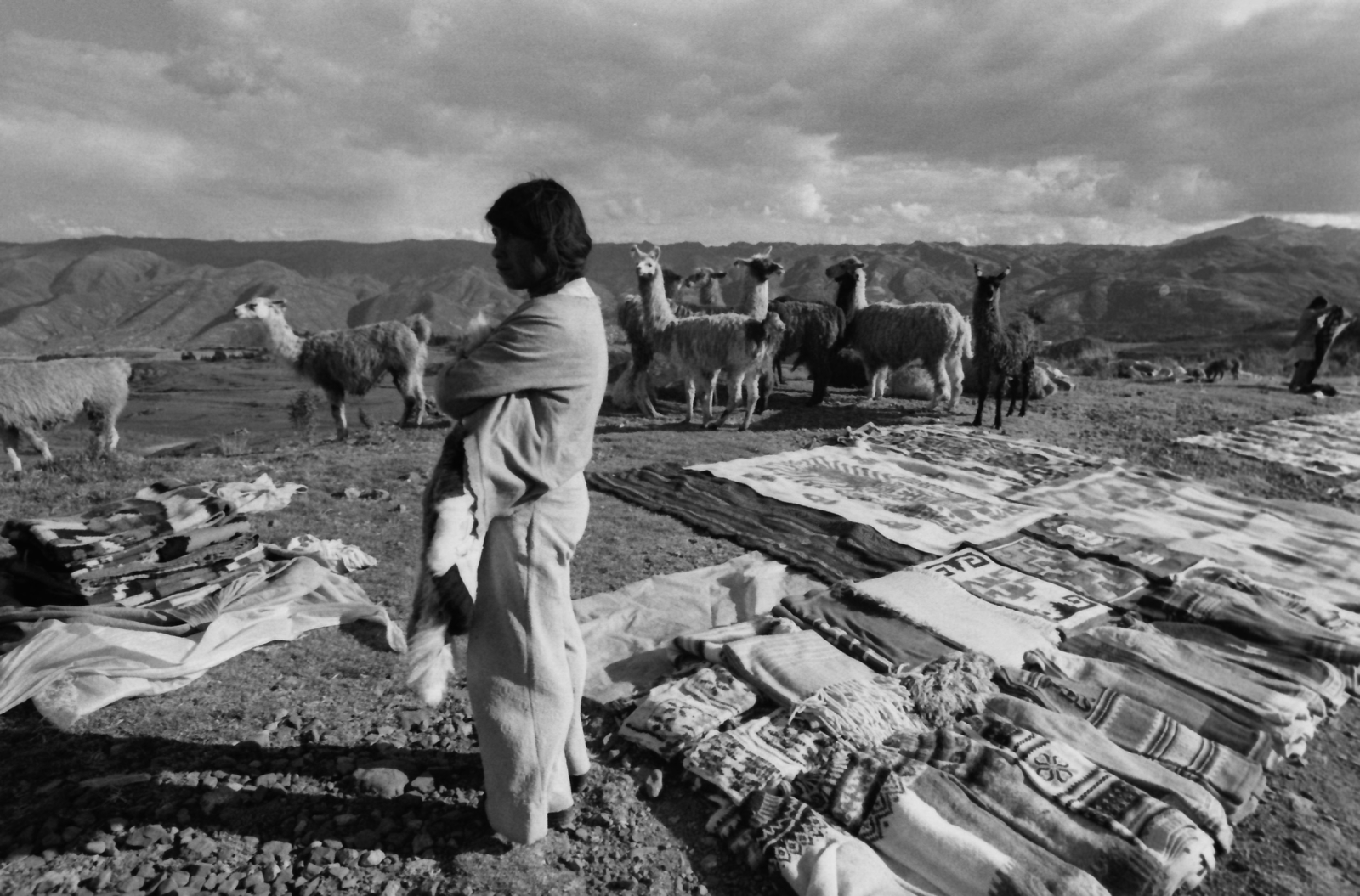 1981, Kende János, Fortepan #185031