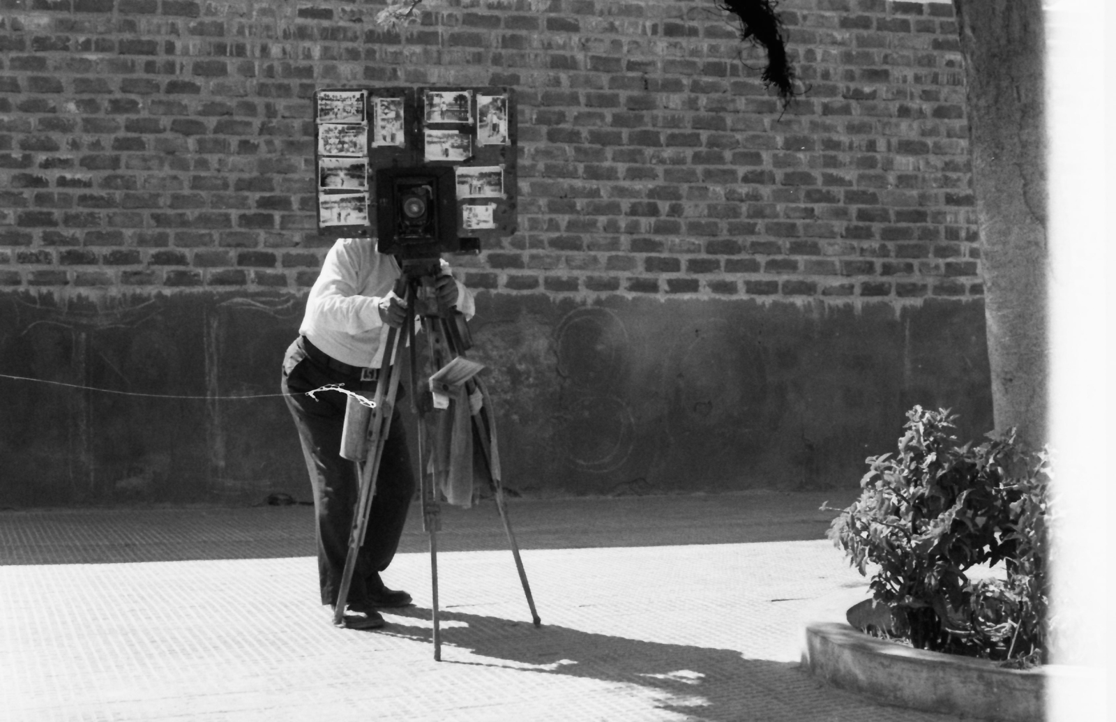 1981, Kende János, camera, photography, photographer, box camera, streetphotography, picture in picture, extinct crafts, Fortepan #185039