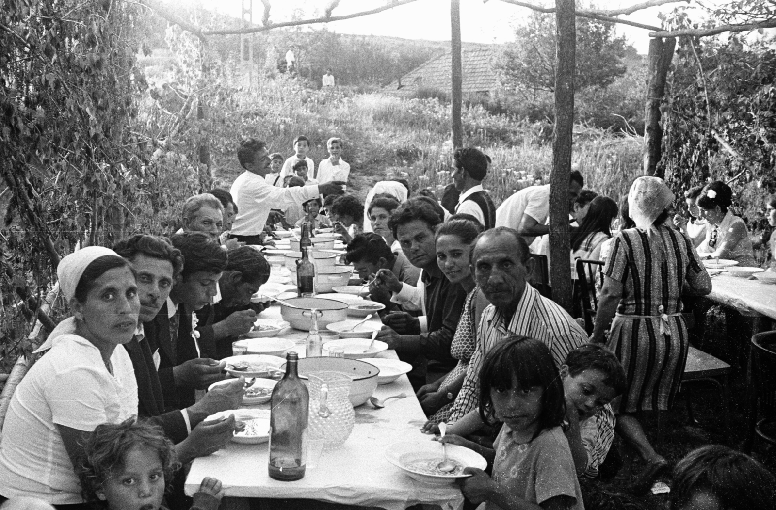 Hungary, Sály, 1971, Kende János, Fortepan #185066