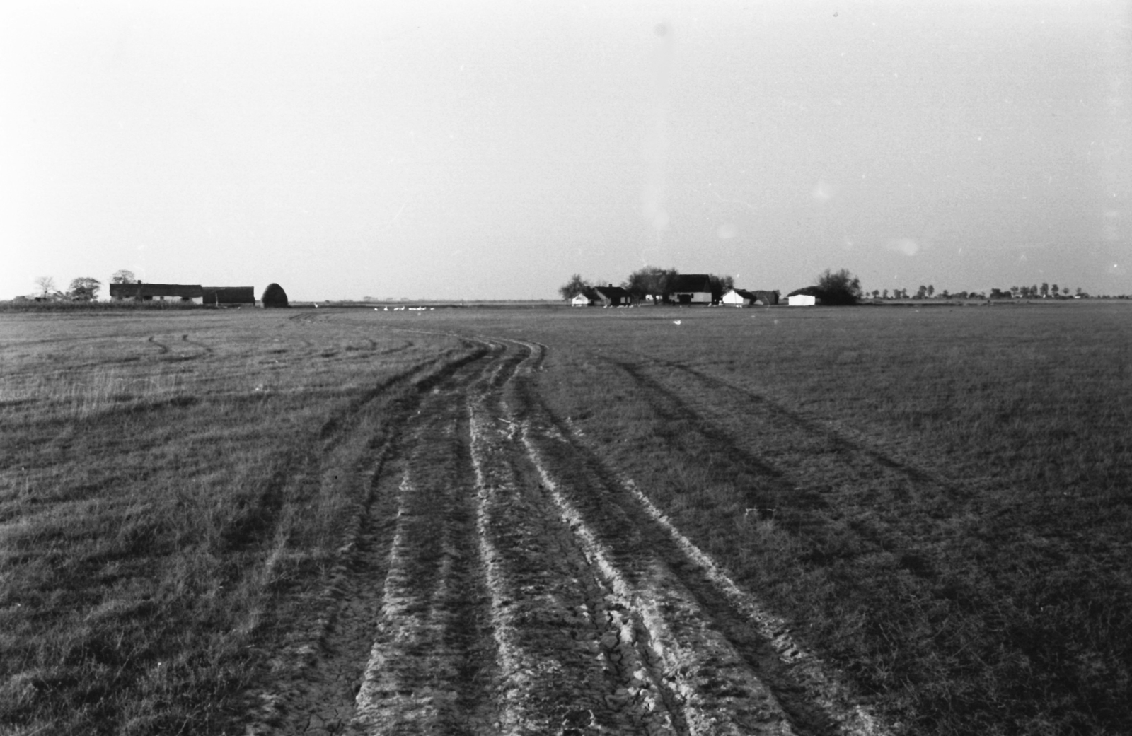 Hungary, Kunszentmiklós, a tsz-elnök, Selyem Zsigmond tanyája, a Csend és kiáltás című film forgatási helyszíne. A film rendezője Jancsó Miklós, operatőre Kende János., 1968, Kende János, farm, Fortepan #185119