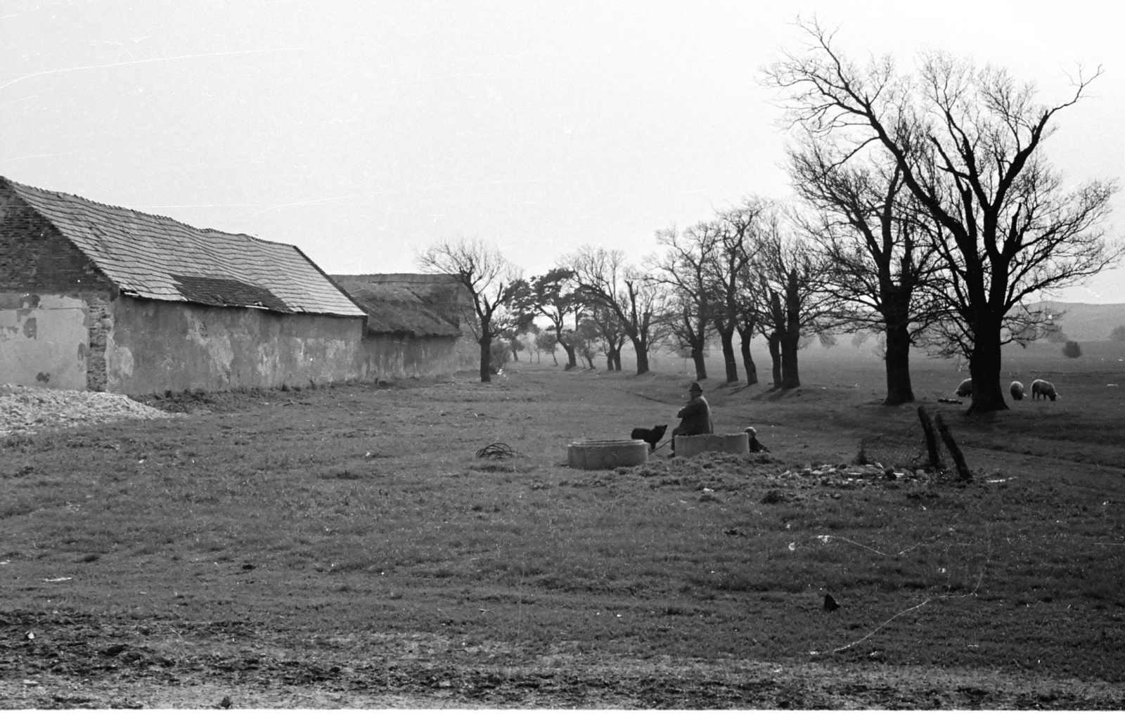 Magyarország, Öskü, Bántapuszta külterület., 1972, Kende János, Fortepan #185154