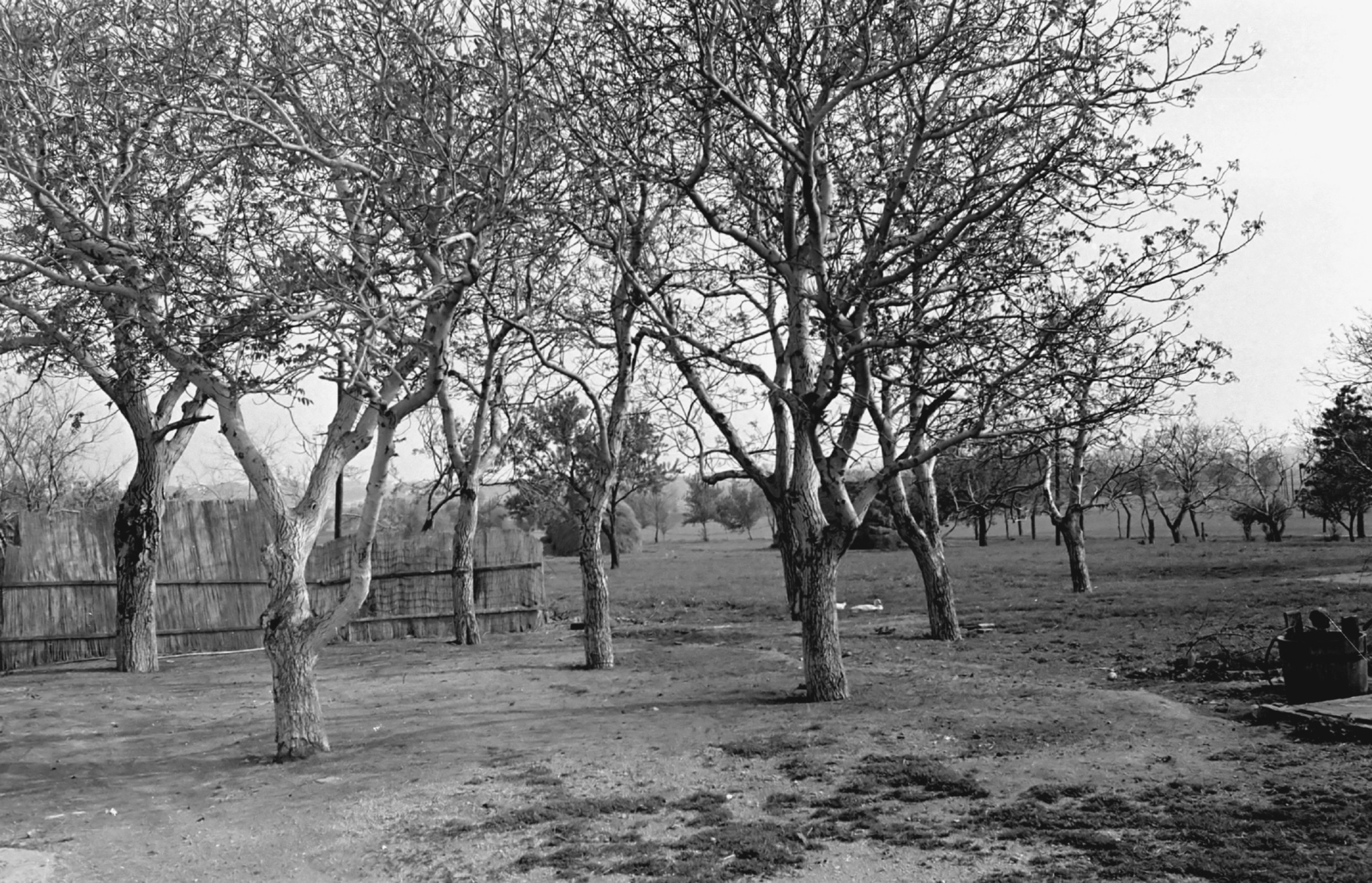 Magyarország, Öskü, Bántapuszta külterület., 1972, Kende János, Fortepan #185158