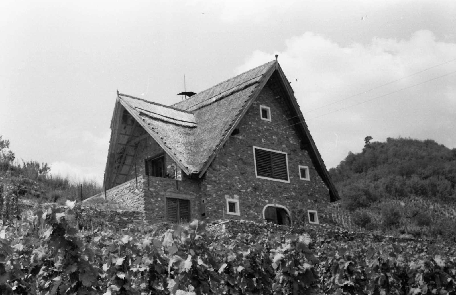 Hungary,Lake Balaton, Szigliget, nyaraló a Szentháromság-kápolna (szőlőhegyi kápolna) alatt., 1974, Kende János, Fortepan #185184