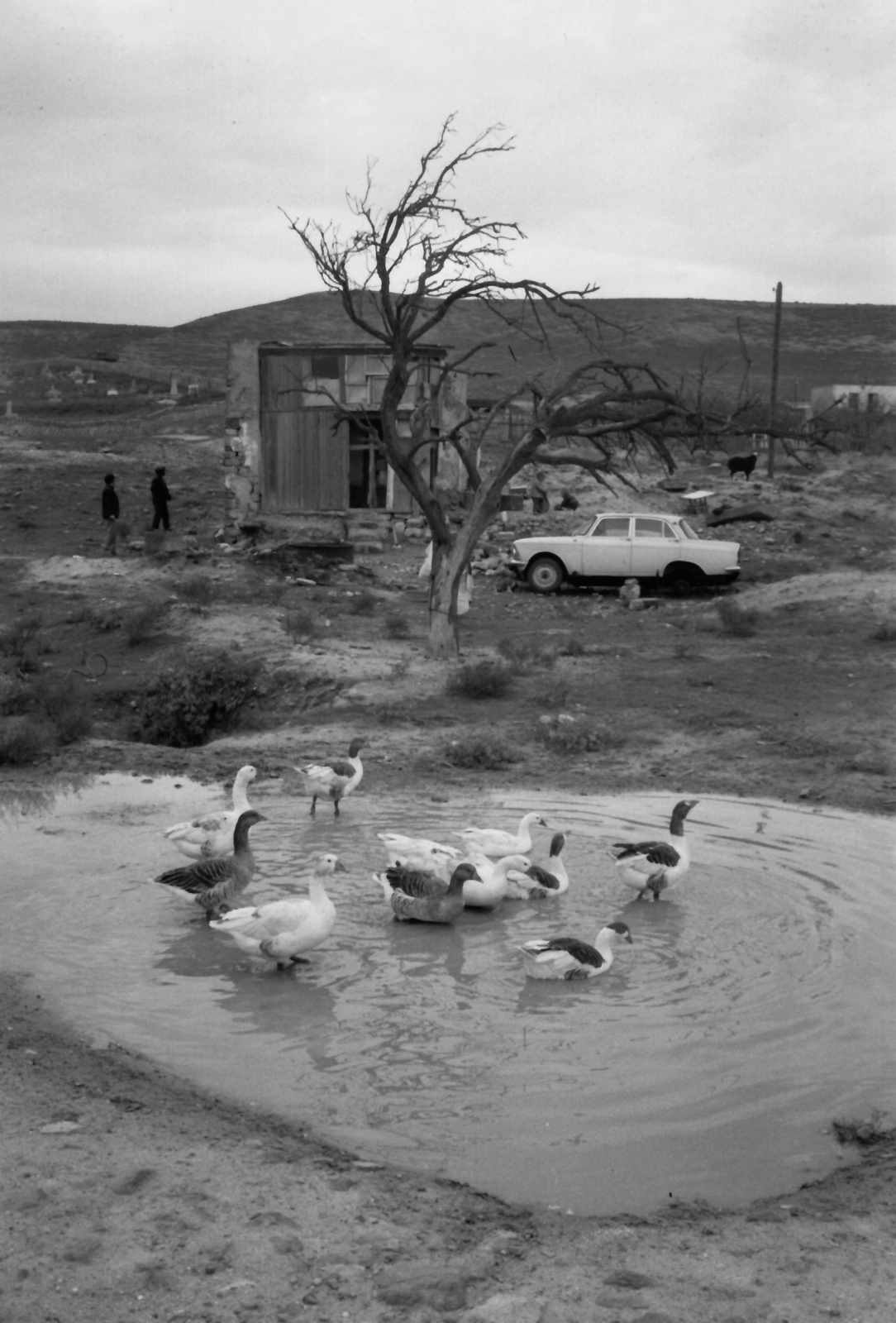 1975, Kende János, Szovjetunió, Fortepan #185189