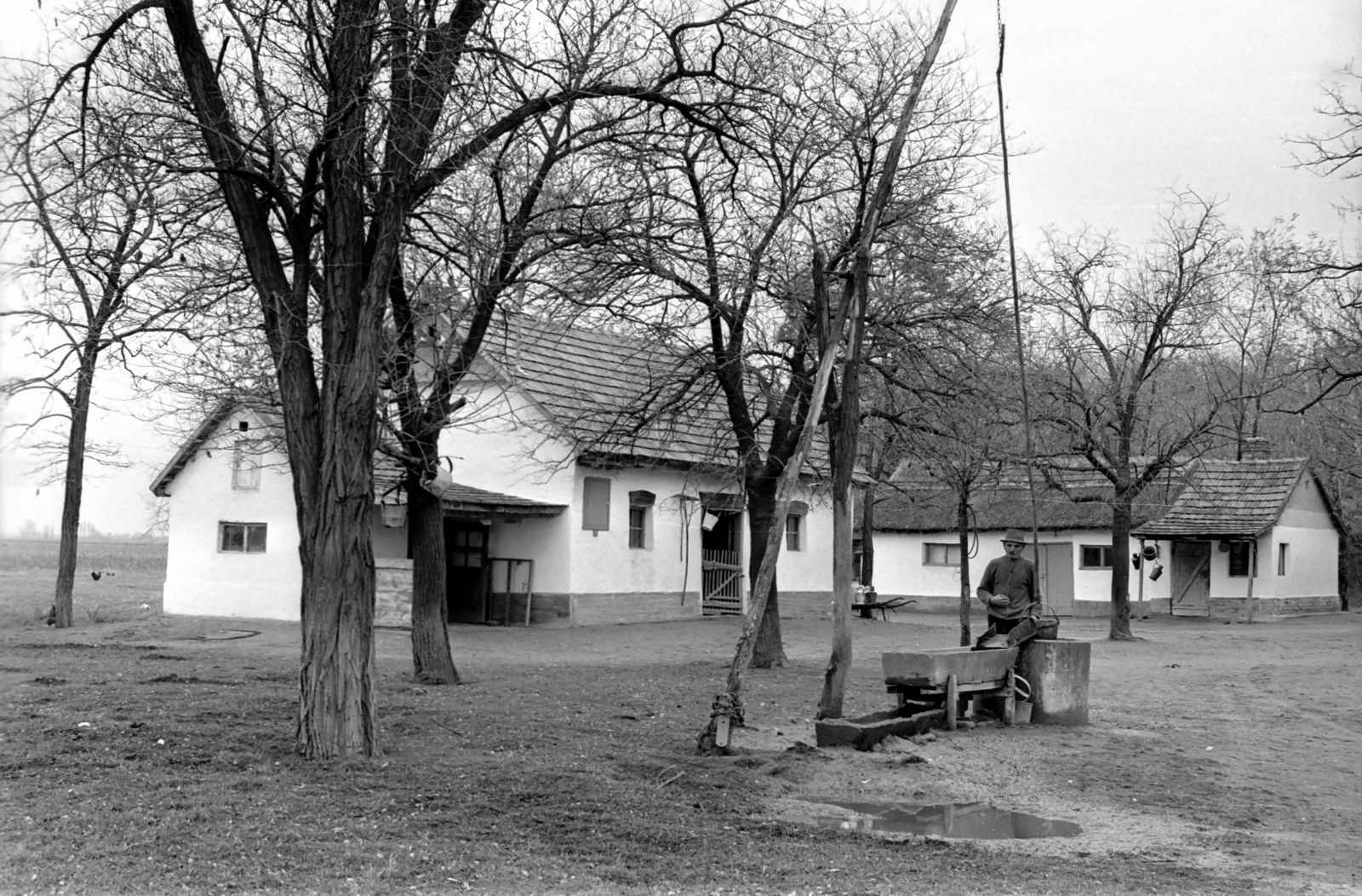 1975, Kende János, farm, Fortepan #185224