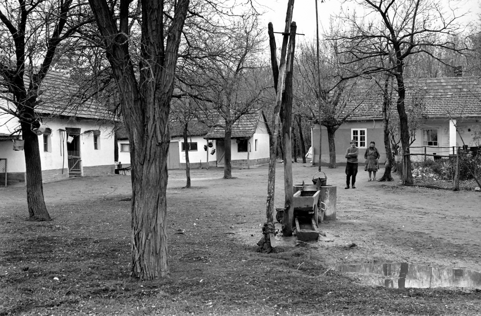 1975, Kende János, tanya, itatóvályú, Fortepan #185226