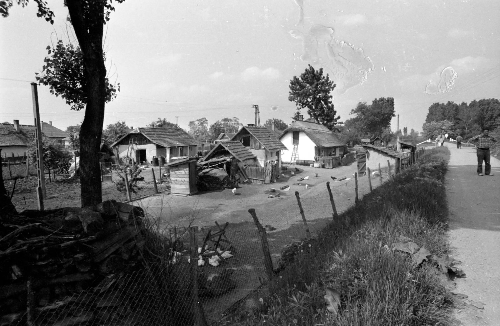 Hungary, Tiszakeszi, gyalogút a gáton, a révtől a Kolozsvári utca felé., 1976, Kende János, Fortepan #185296