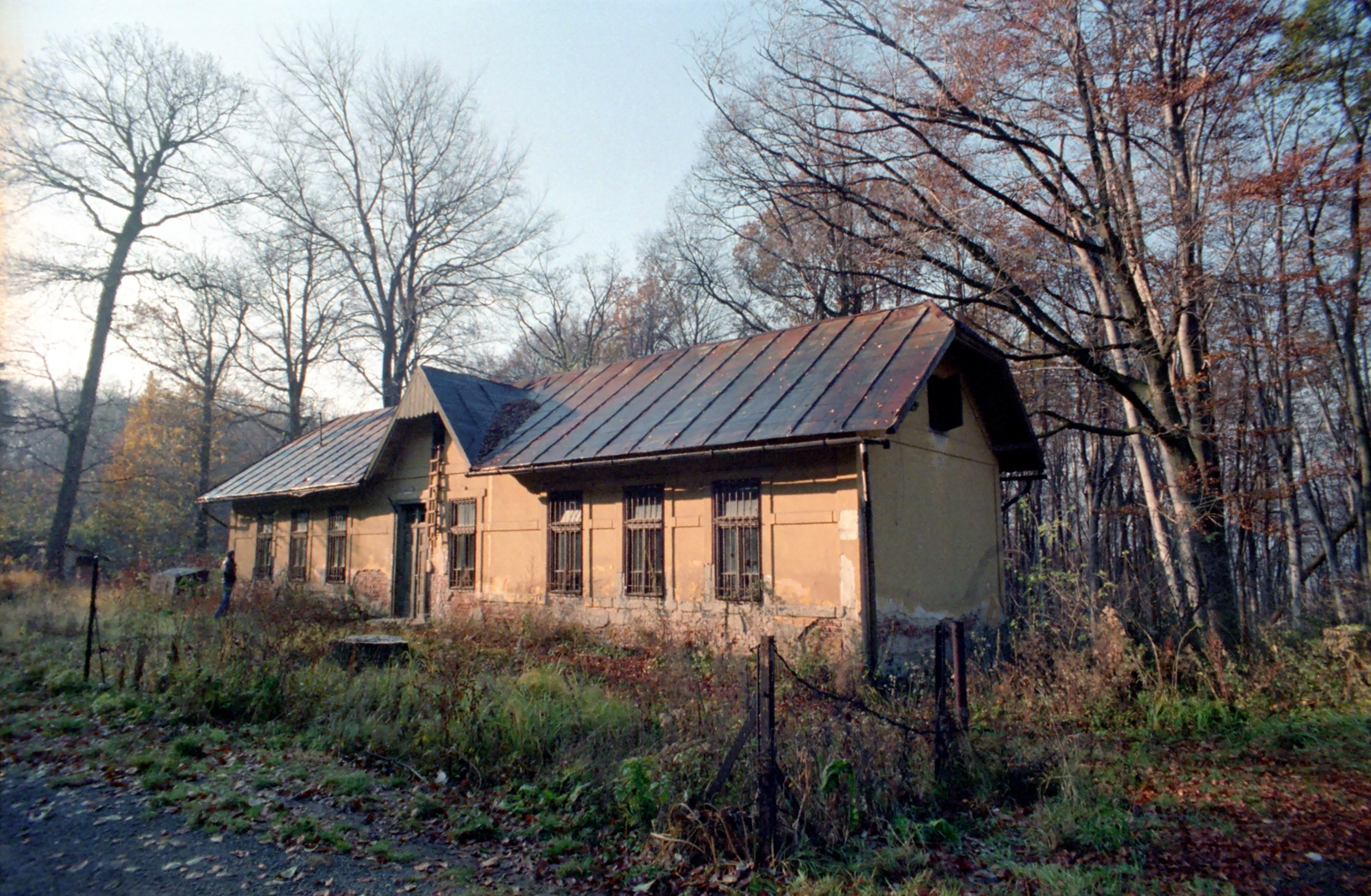 1981, Kende János, colorful, Fortepan #185333