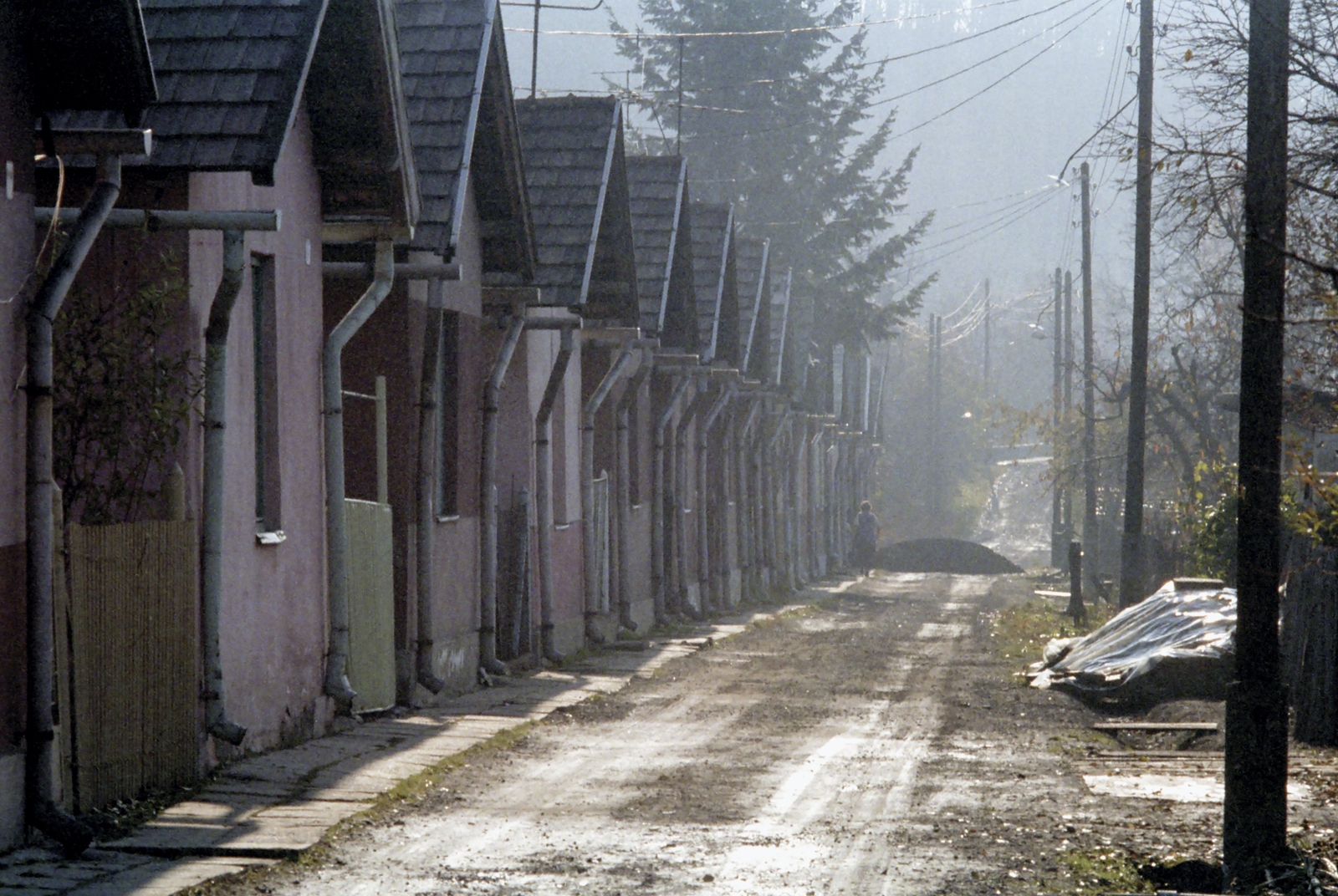 1981, Kende János, colorful, Fortepan #185335