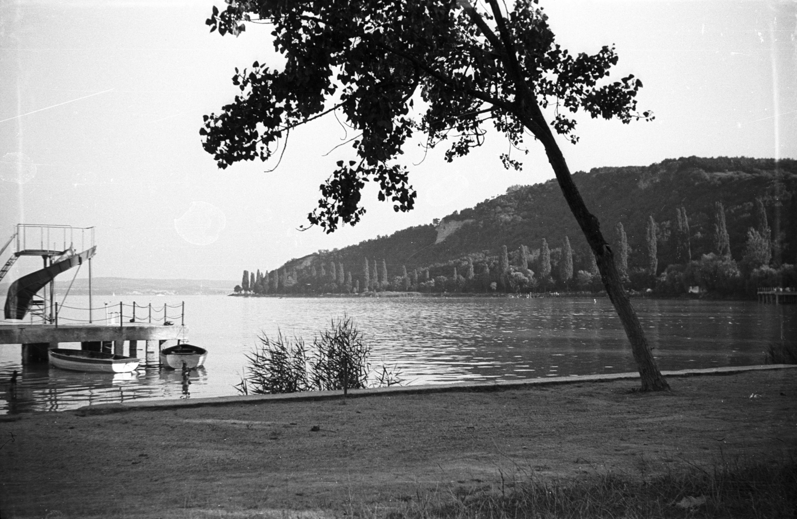 Hungary,Lake Balaton, Tihany, az MSZMP üdülő (egykor József főherceg nyaralókastélya, ma szálloda) strandja., 1960, Kende János, picture, shore, fir trees, Fortepan #185367