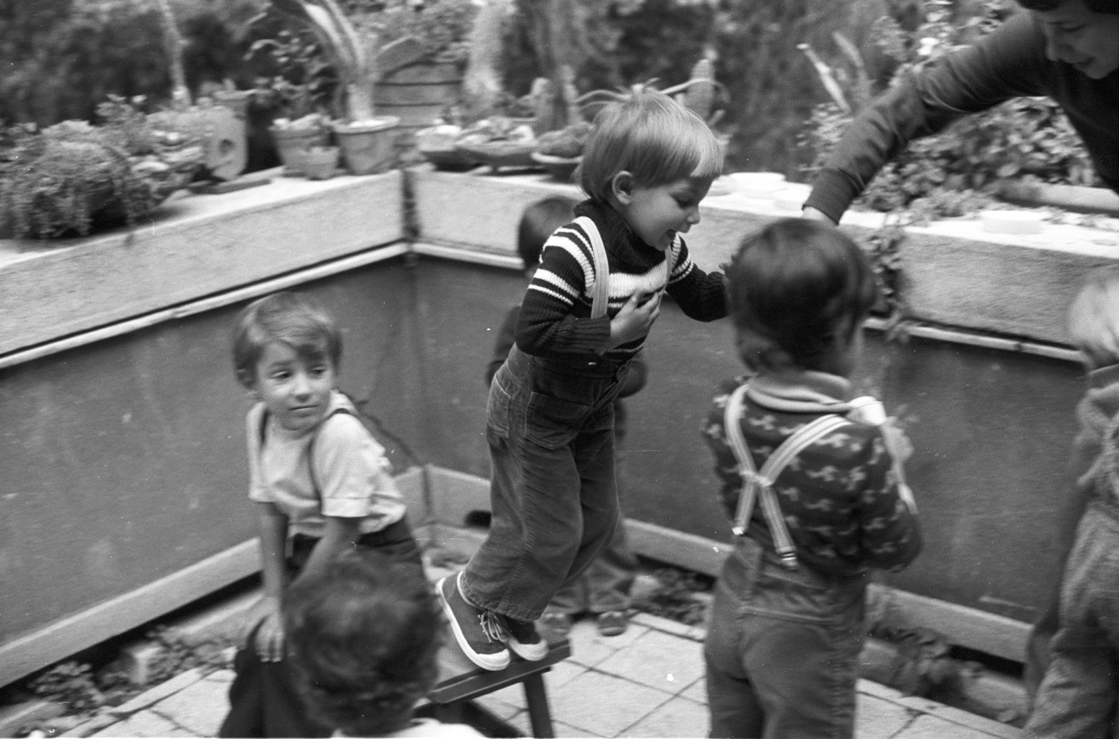 1976, Kende János, Fortepan #185398
