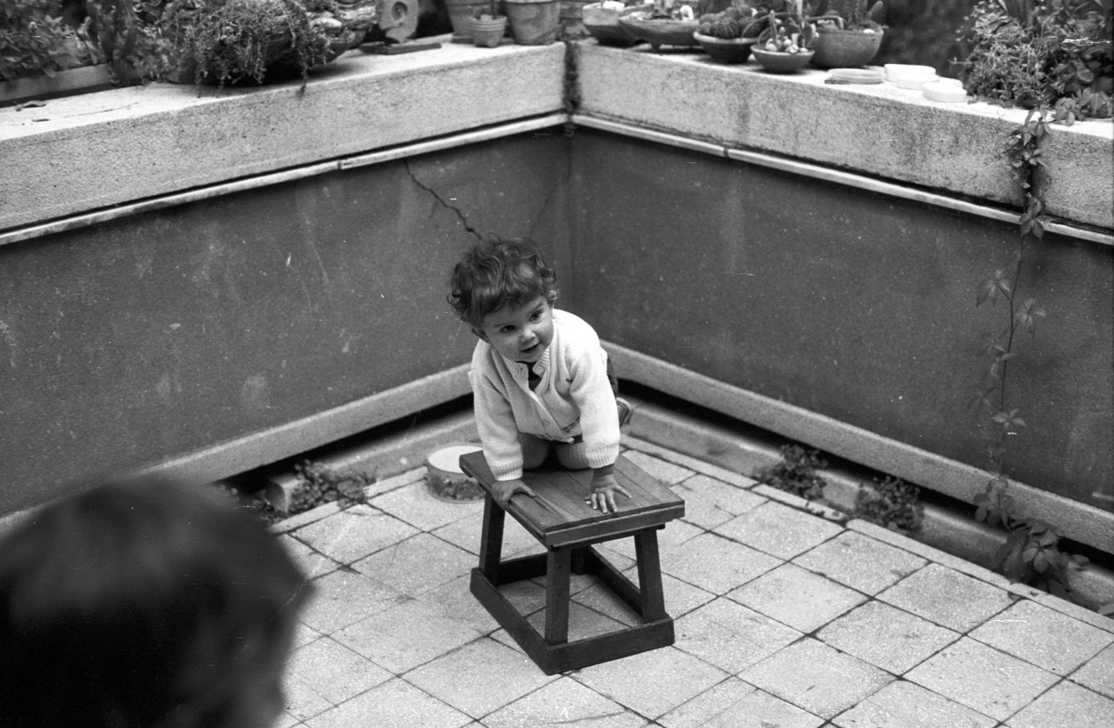 1976, Kende János, Fortepan #185401
