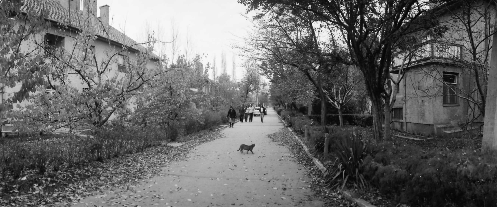 Hungary, Martfű, a Bata (Ságvári Endre) út a Simon Ferenc út felől., 1977, Kende János, Fortepan #185429