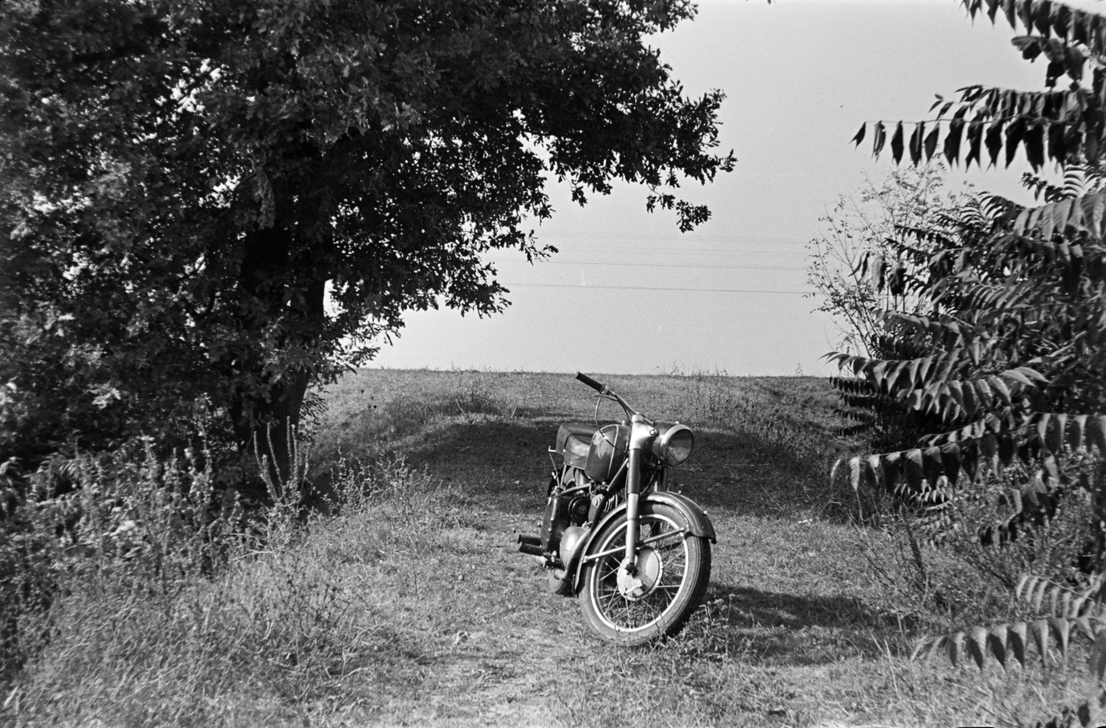 1954, Tóth Tibor, motorcycle, Fortepan #185575