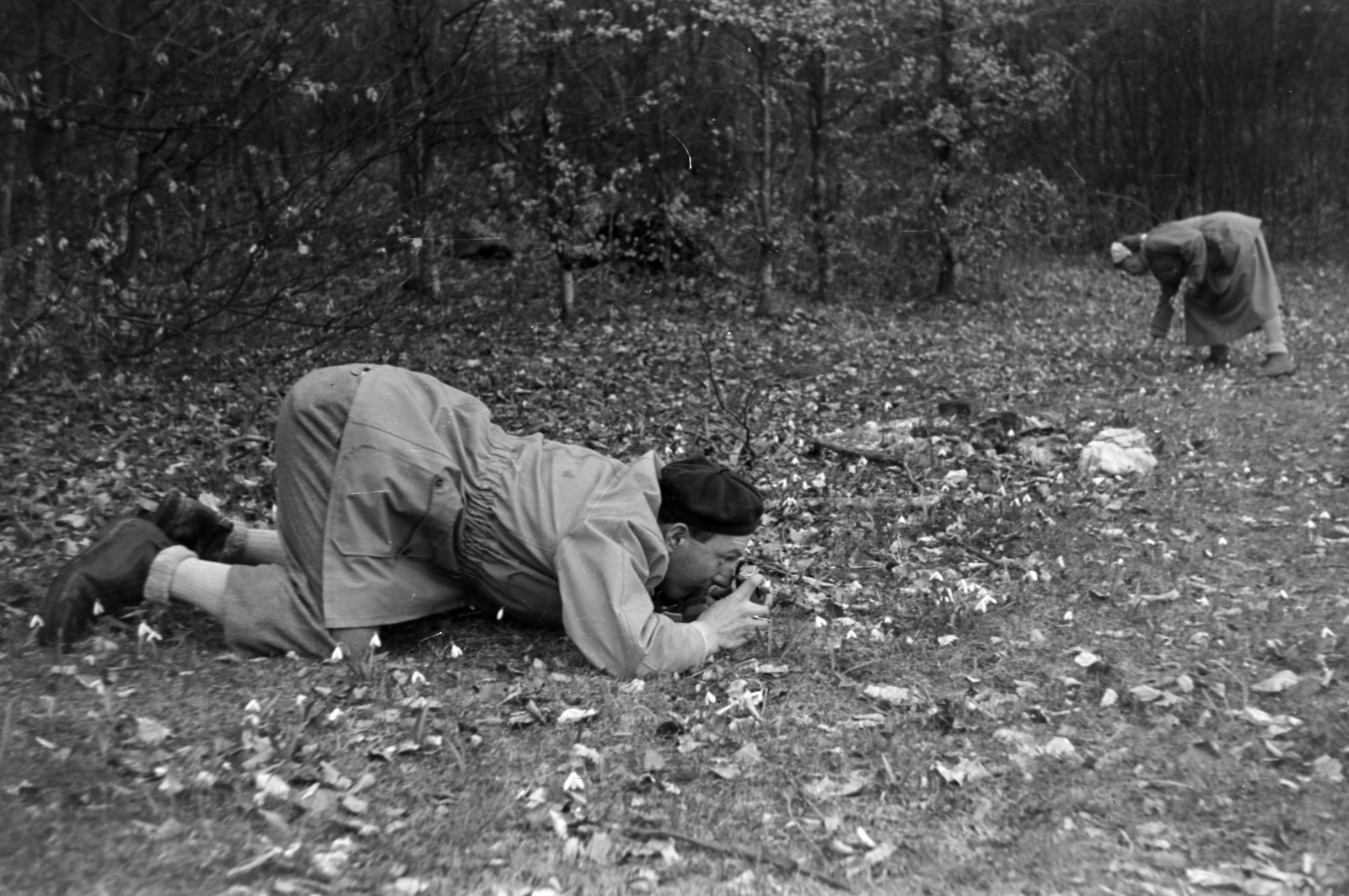 1957, Tóth Tibor, photography, perce-neige, Fortepan #185596