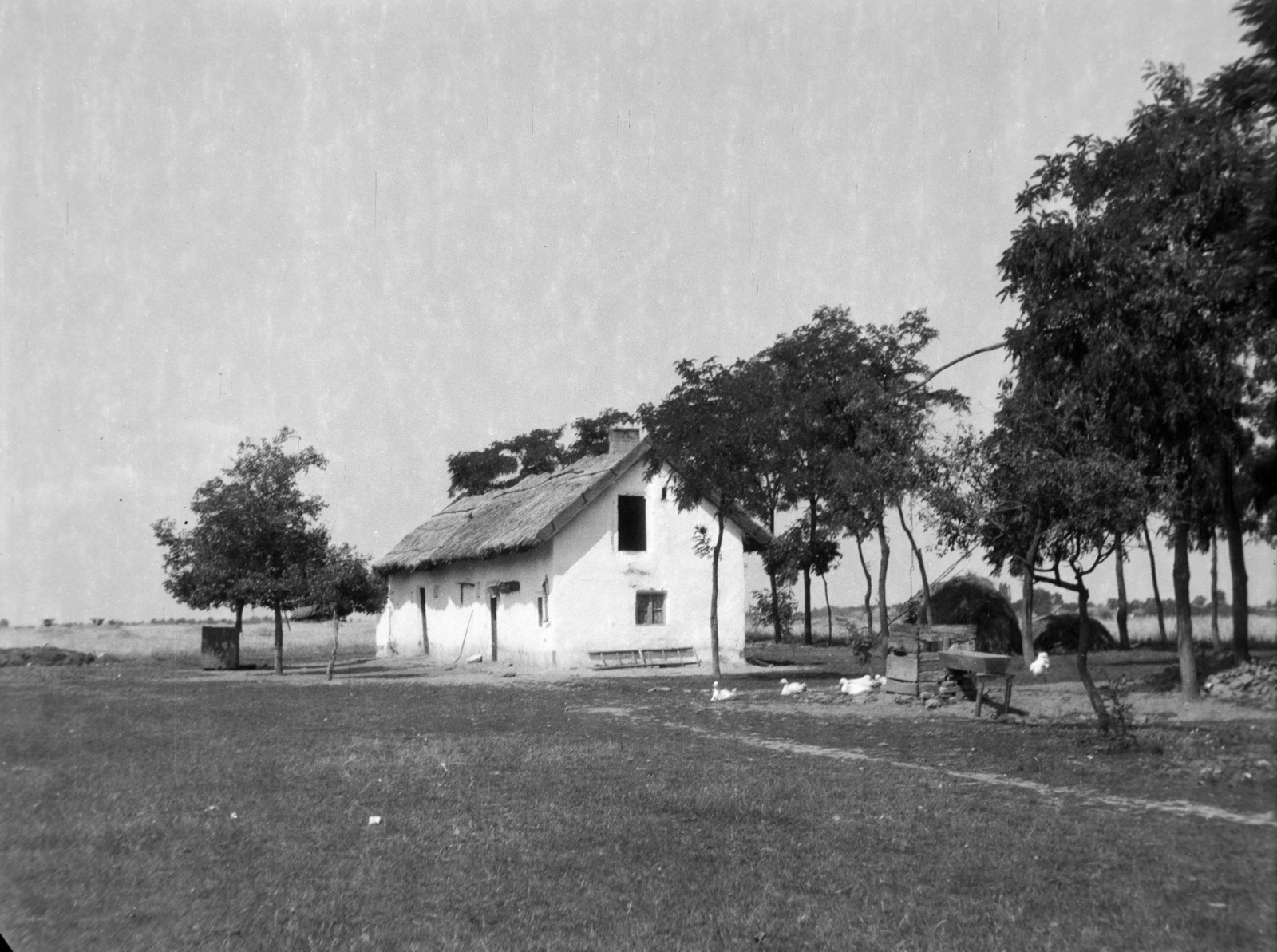 1958, Kádár József, poultry, farmhouse, shadoof, Fortepan #185767