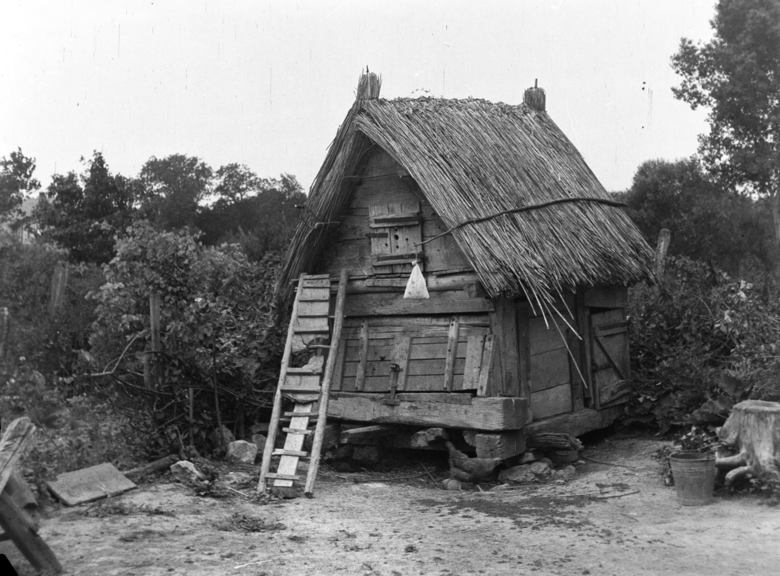 1959, Kádár József, hutch, ladder, thatch roof, Fortepan #185773