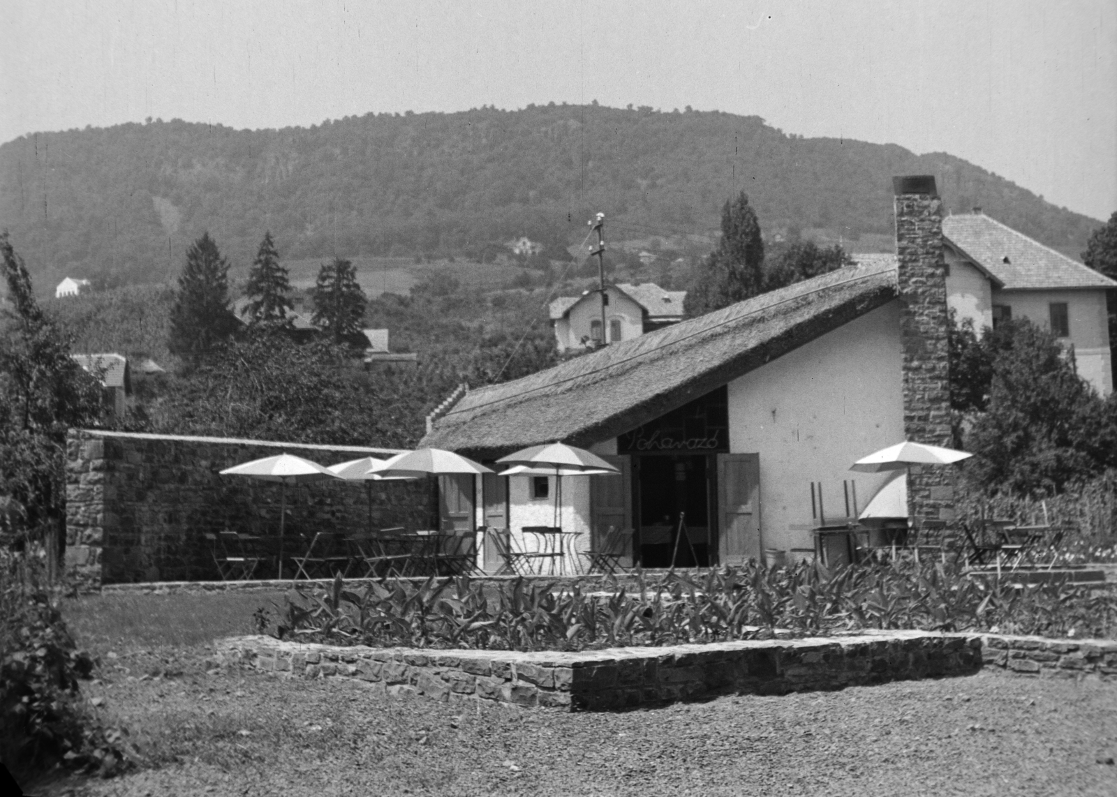Hungary,Lake Balaton, Badacsonytomaj, Park utca 18., Poharazó (Callmeyer Ferenc, 1958.)., 1959, Kádár József, terrace, thatch roof, hospitality, sunshades, Fortepan #185777