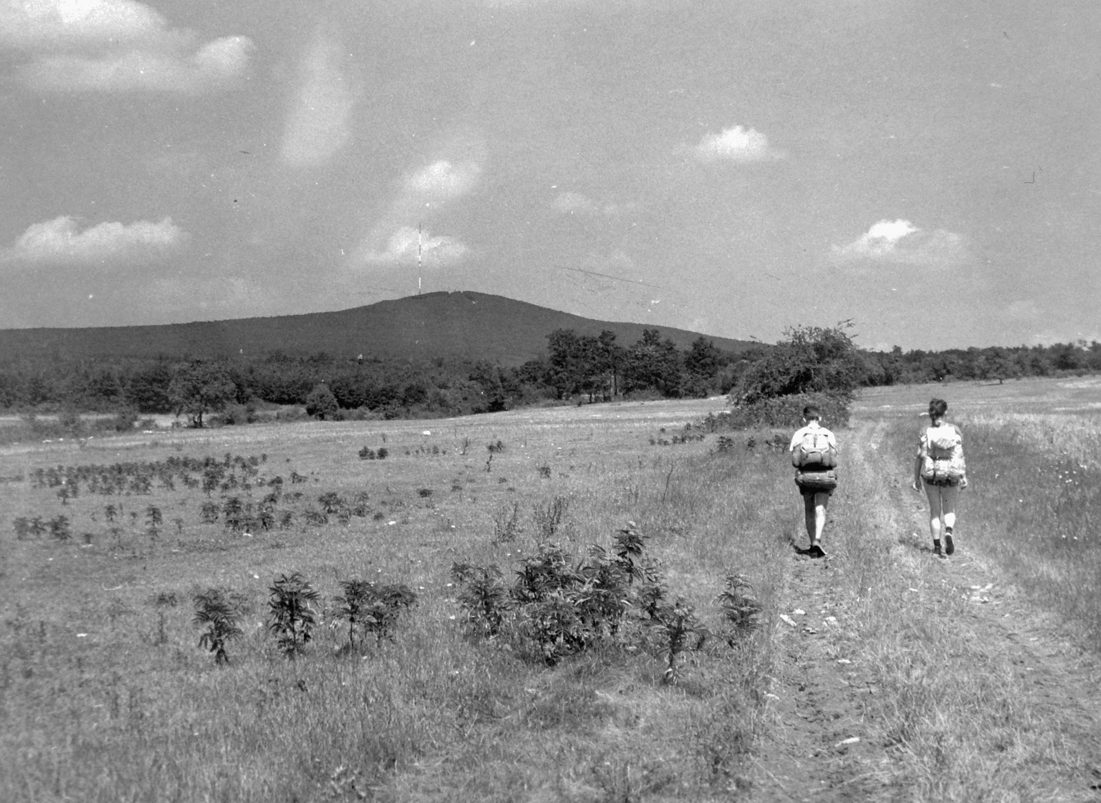 Magyarország, Bakony, az Országos Kéktúra útvonala Nagyvázsonyból Kab-hegy felé menet., 1970, Fortepan, felhő, tájkép, hátizsák, adótorony, Fortepan #18580