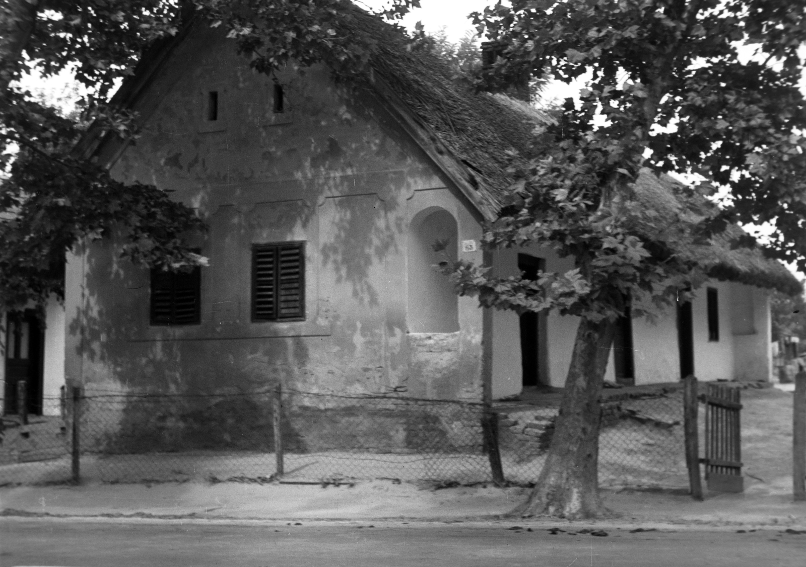 1960, Kádár József, farmhouse, venetian blind, porch, thatch roof, platan tree, Fortepan #185816