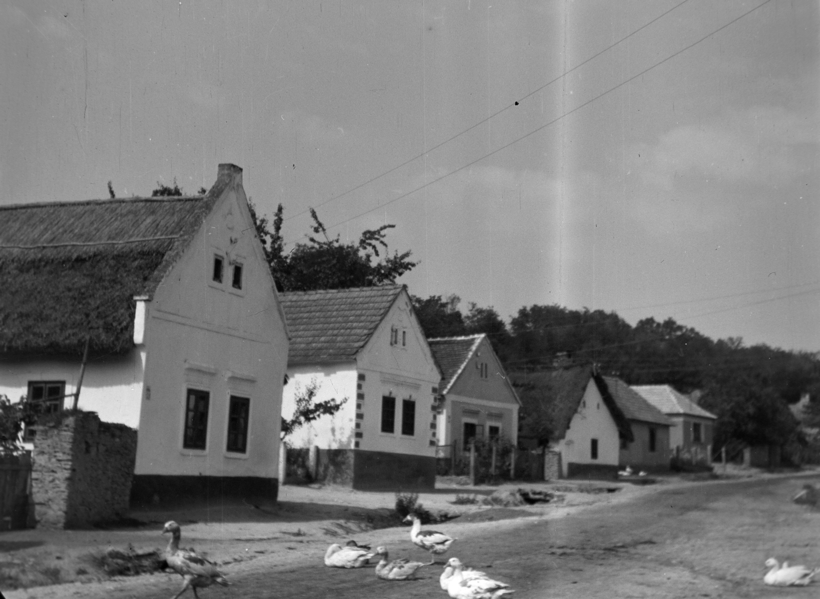1960, Kádár József, baromfi, utcakép, falu, cseréptető, sátortető, nádtető, Fortepan #185818