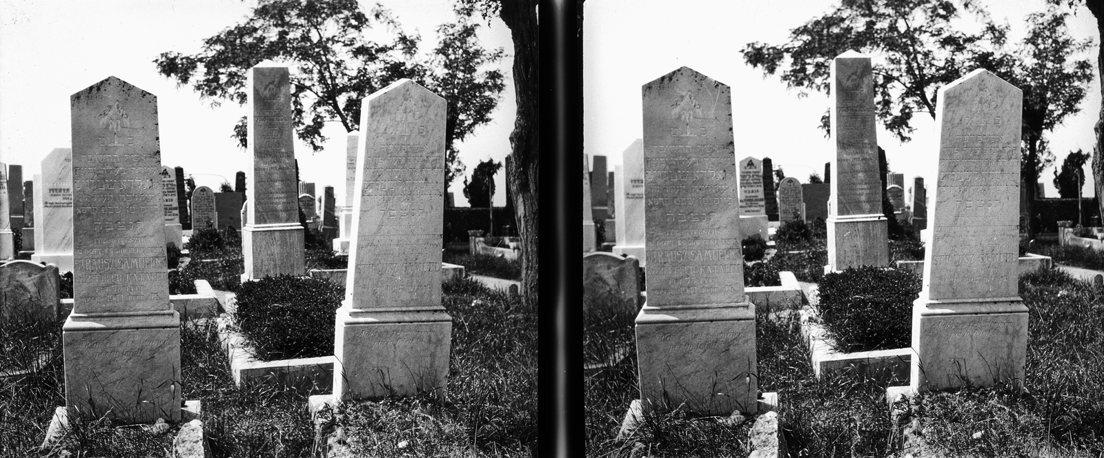 Hungary, Székesfehérvár, Óvoda utca, izraelita temető., 1926, Kárpáti György Mór, stereophoto, tombstone, Fortepan #185992