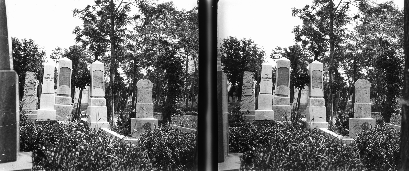 Hungary, Székesfehérvár, Óvoda utca, izraelita temető., 1926, Kárpáti György Mór, stereophoto, Fortepan #185994