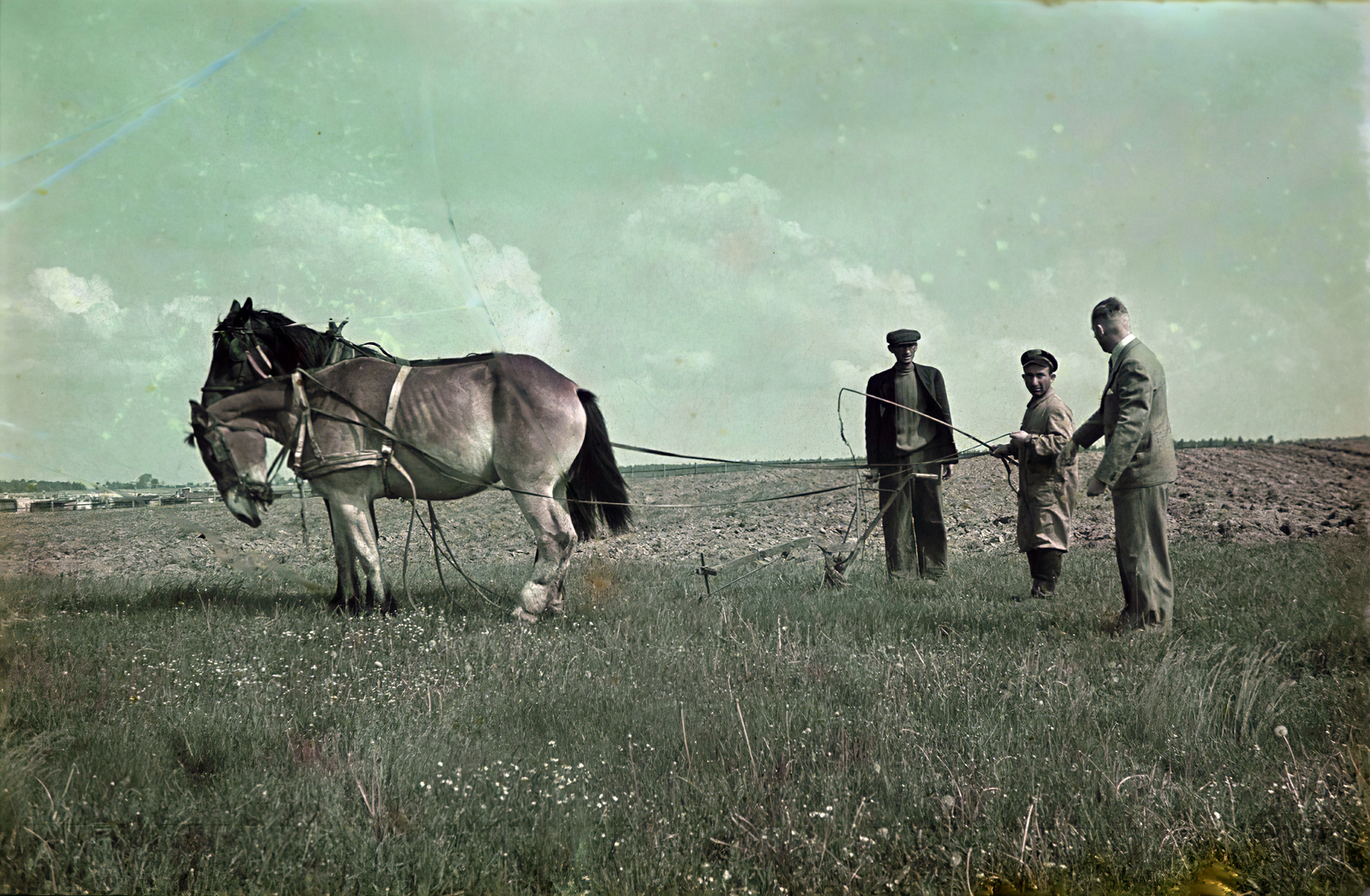 Poland, Łódź, 1942, Fortepan/Album044, horse, plow, tillage, whip, colorful, Fortepan #186089