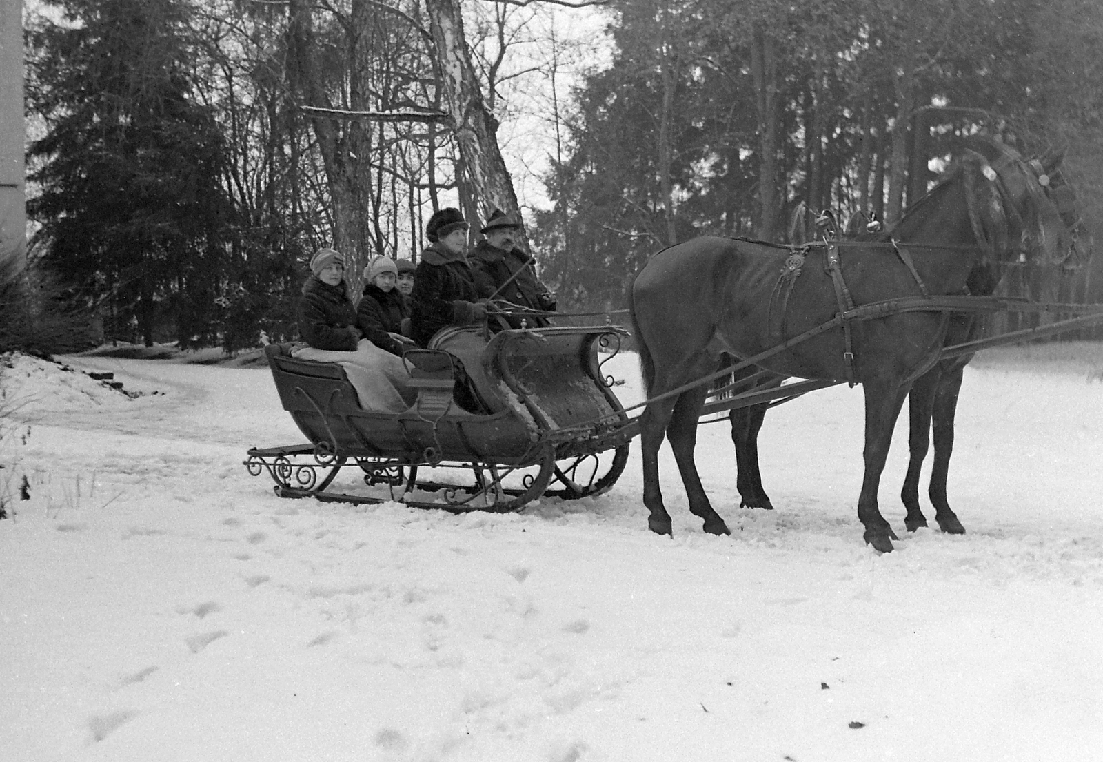 1930, Jankovszky György, woods, winter, snow, horse, tableau, women, coach, kids, man, sleigh, Fortepan #18624