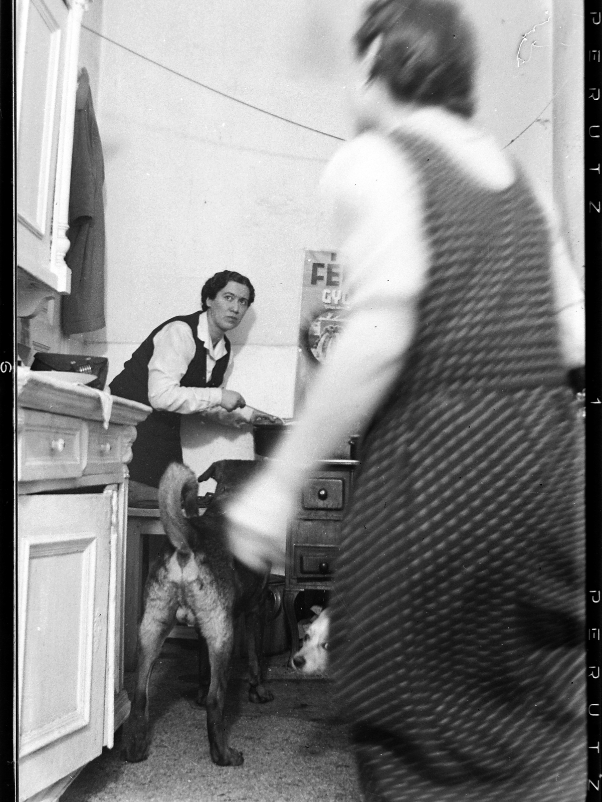 1937, Jankovszky György, dog, kitchen, peeking, dotted dress, Fortepan #18626