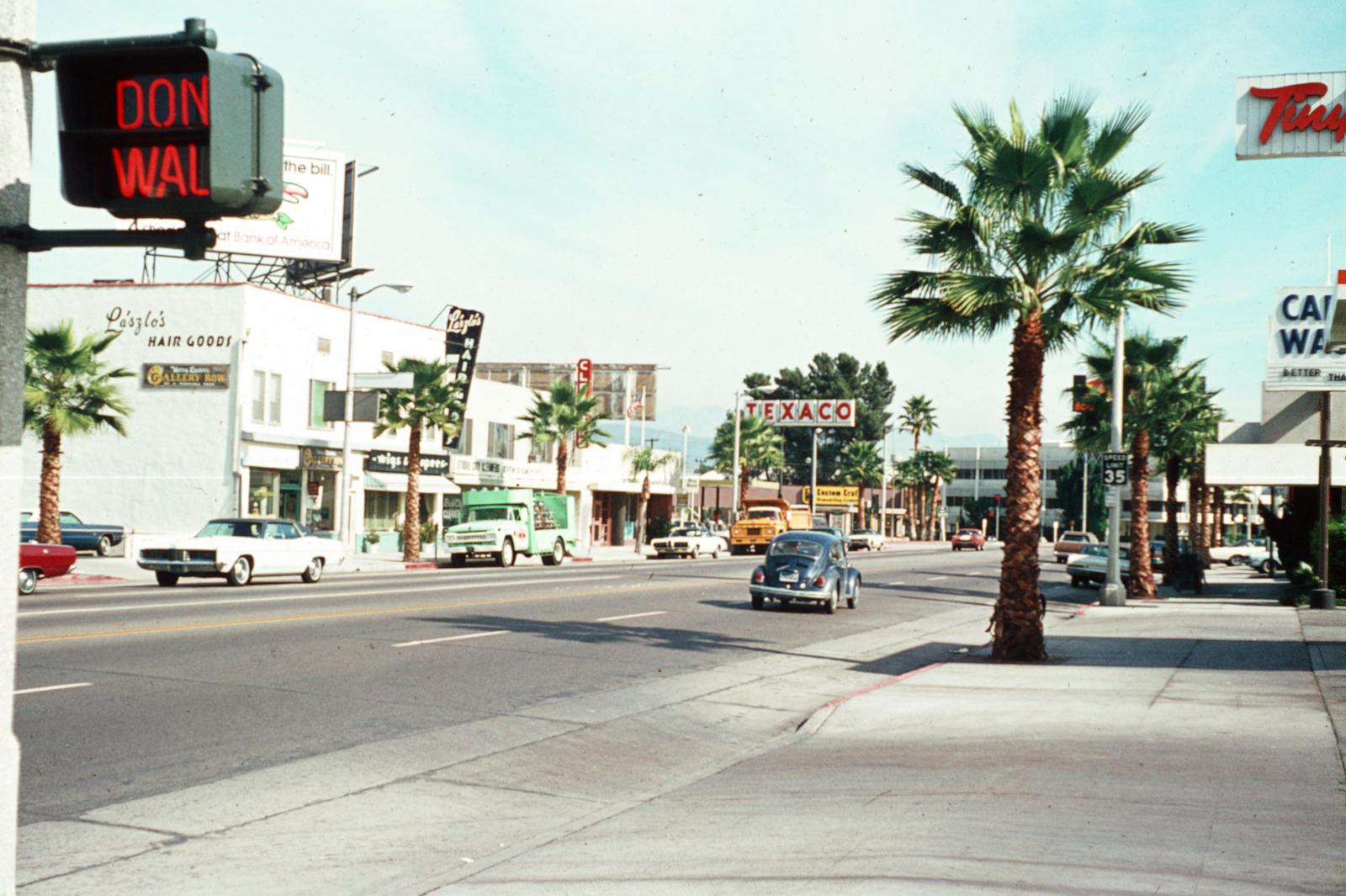 USA, California,Los Angeles, Studio City lakónegyed, Ventura Boulevard., 1970, Lugosi Szilvia, Volkswagen Beetle, colorful, palm tree, Fortepan #186316